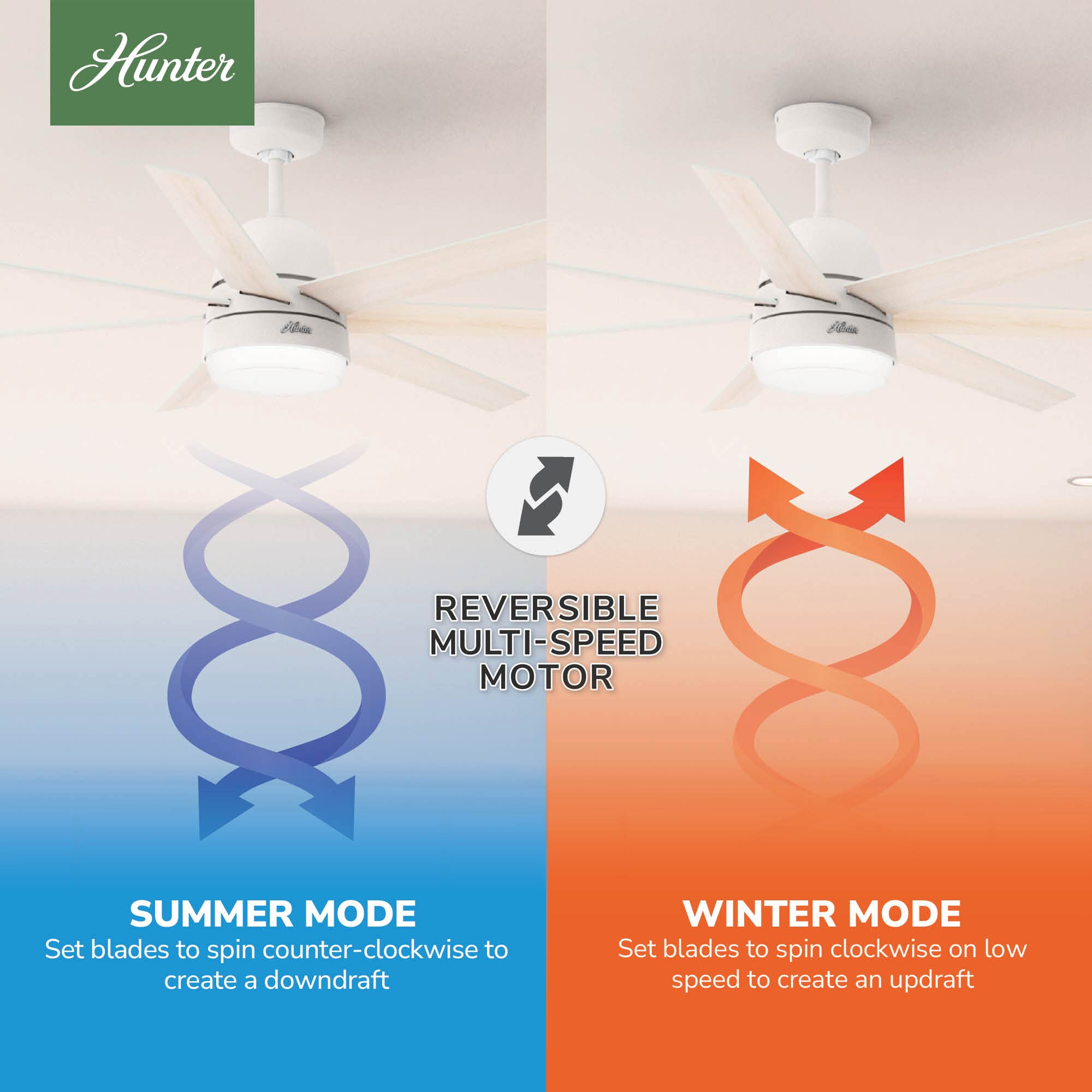 Hunter 51375 Ceiling-Fans - View #8