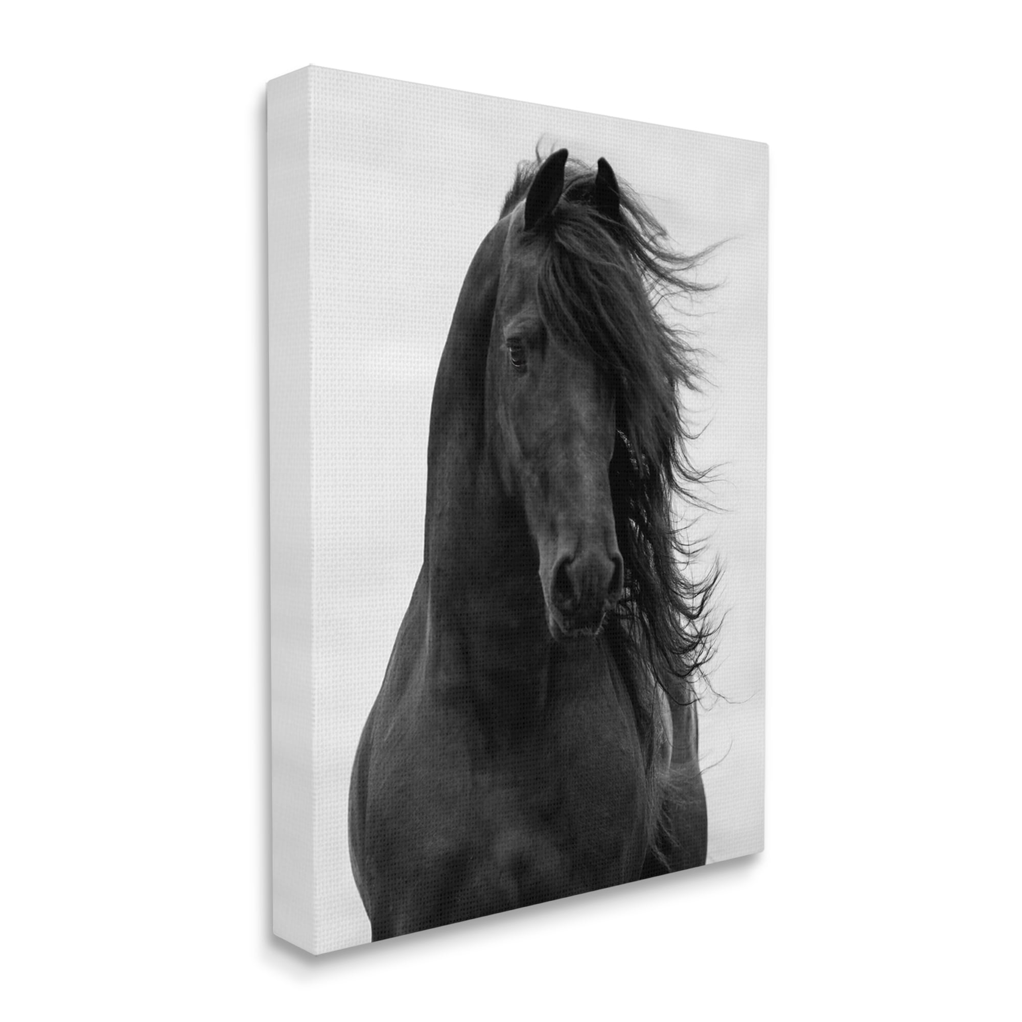 Stupell Industries AI-716-CN-36X48 Wall-Art - View #7