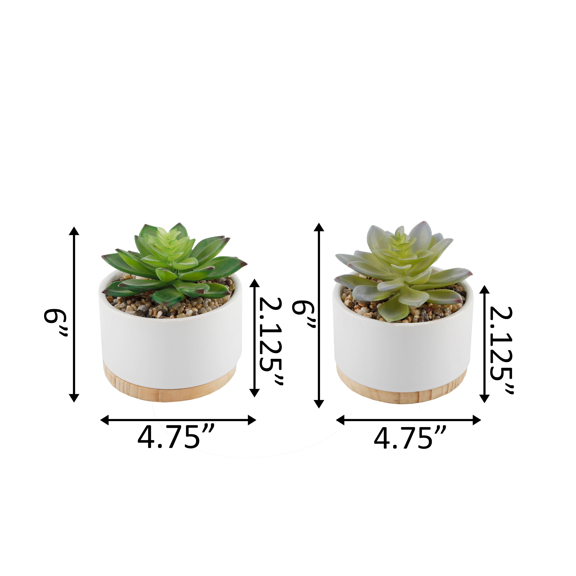 Flora Bunda 2-in White Indoor/Outdoor Succulent Artificial Plant in the ...