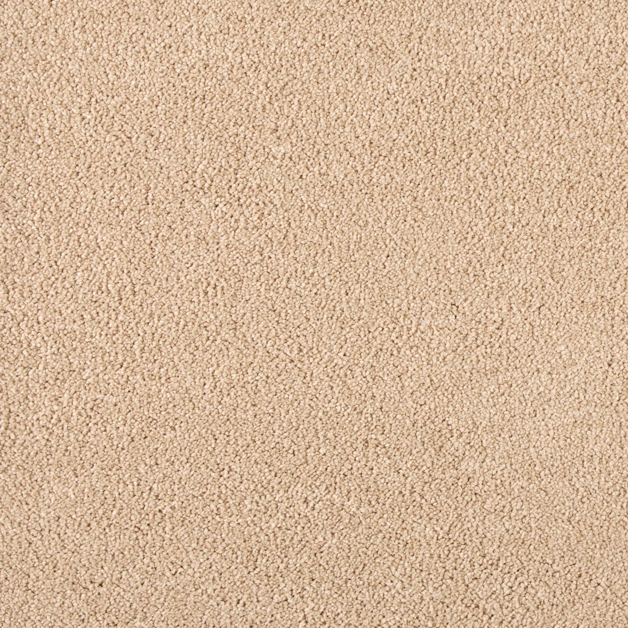 STAINMASTER SS044-L005-S0808 (Sample) 8-in x 8-in Express Install Clarified Pathway I Coastal Sand Tan 60-oz sq yard Solution-dyed polyester Textured Indoor Carpet