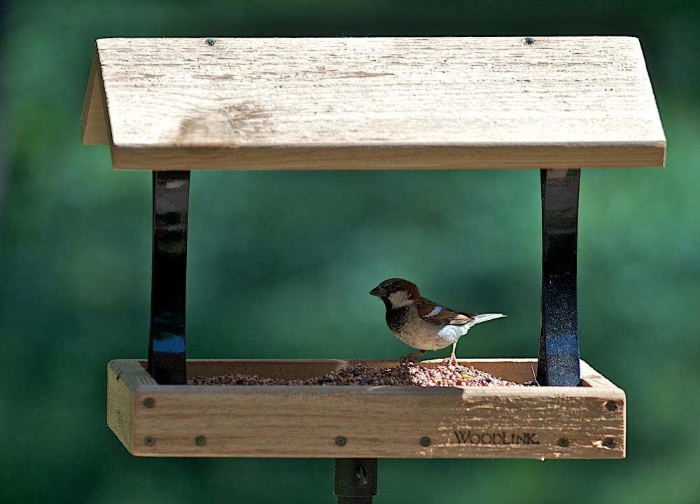 Woodlink 24373 Bird-Feeders - View #3