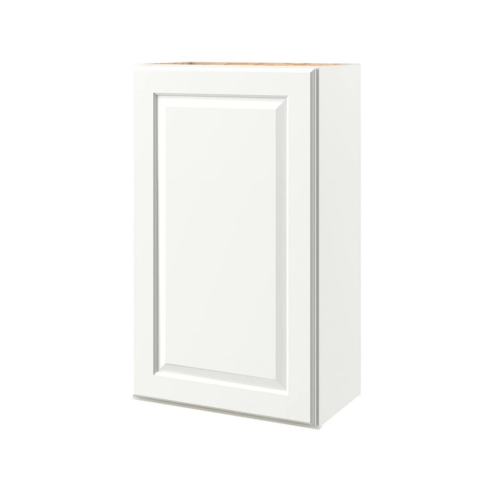 allen + roth Tilson 24-in W x 30-in H x 12-in D Linen Wall Fully Assembled Cabinet (Raised Panel Square Door Style)