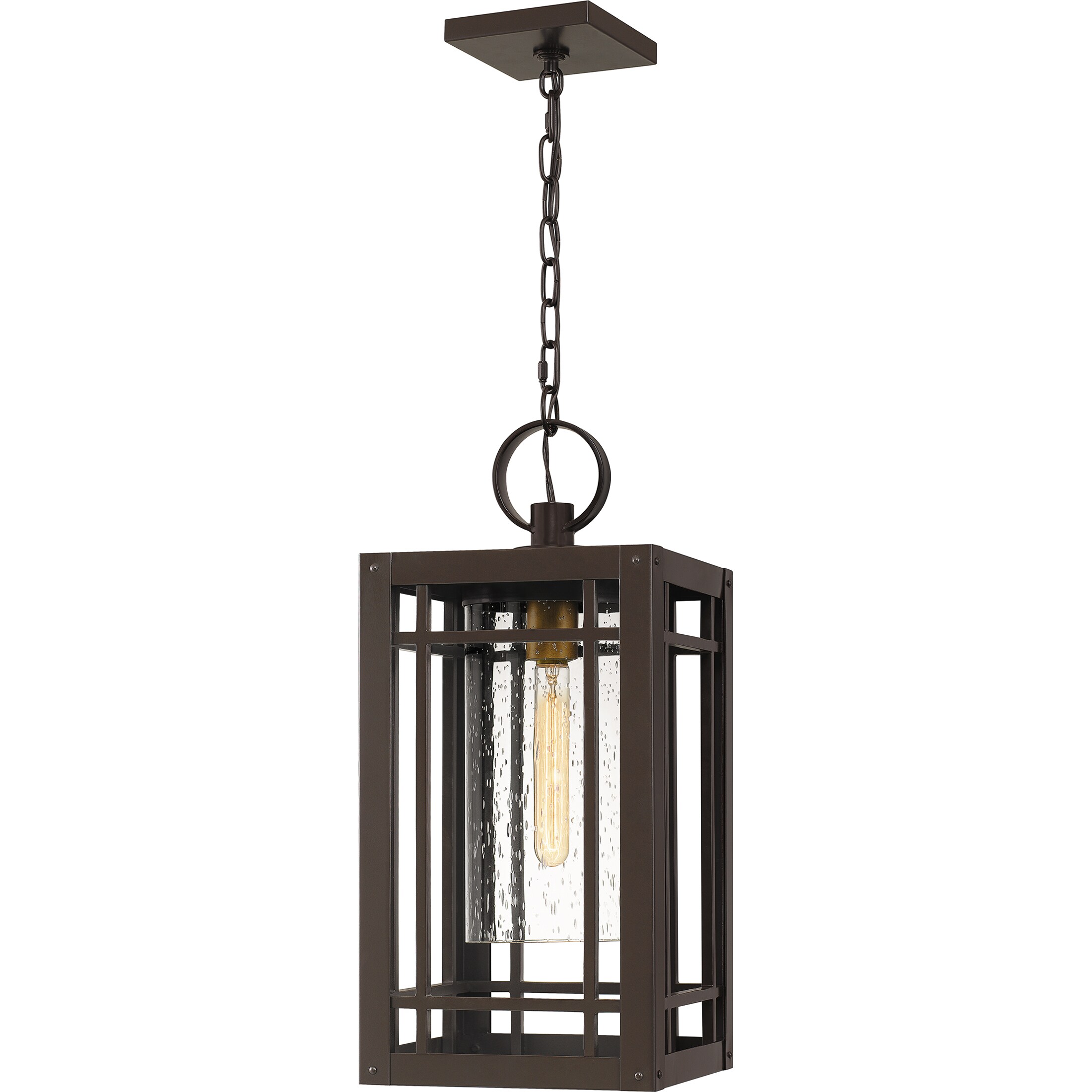 Quoizel Marine Western Bronze Transitional Seeded Glass Lantern Pendant Light