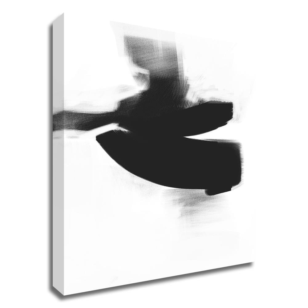 Tangletown Fine Art 8G995DC-3240 40-in H x 32-in W Abstract Print on Canvas
