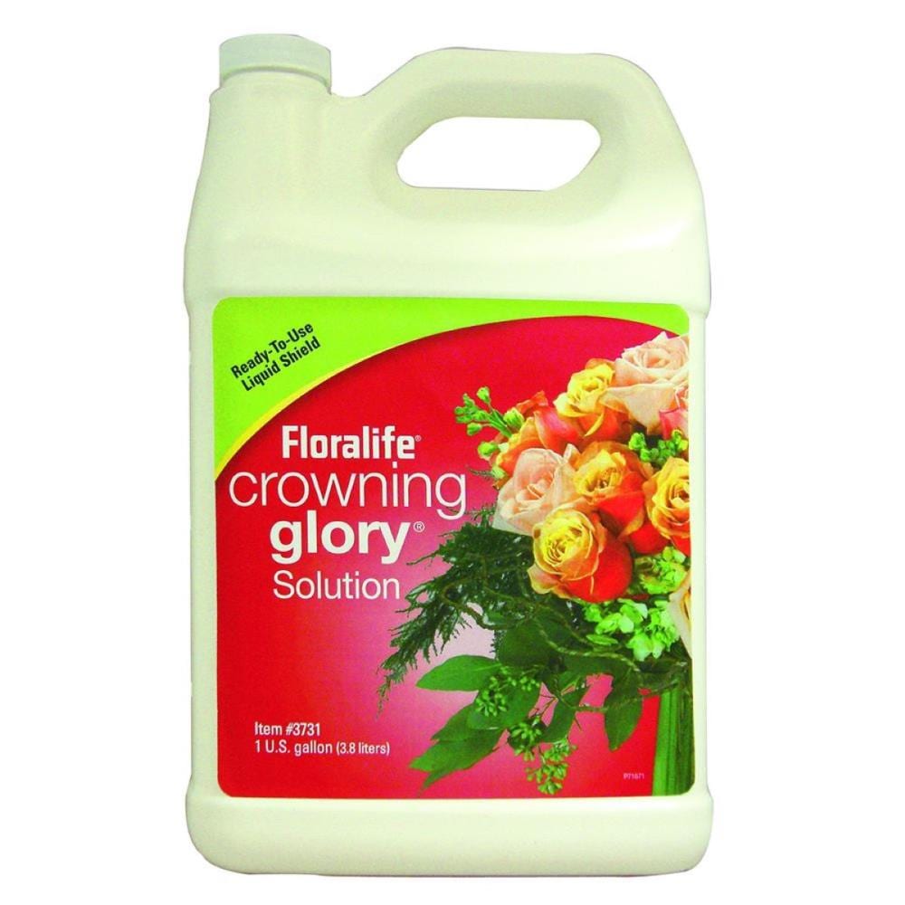 Floralife Leafshine Leaf Shiner - 25 oz Aerosol Can | Natural Shine | Removes Water Spots | Plant Care | 83-17011