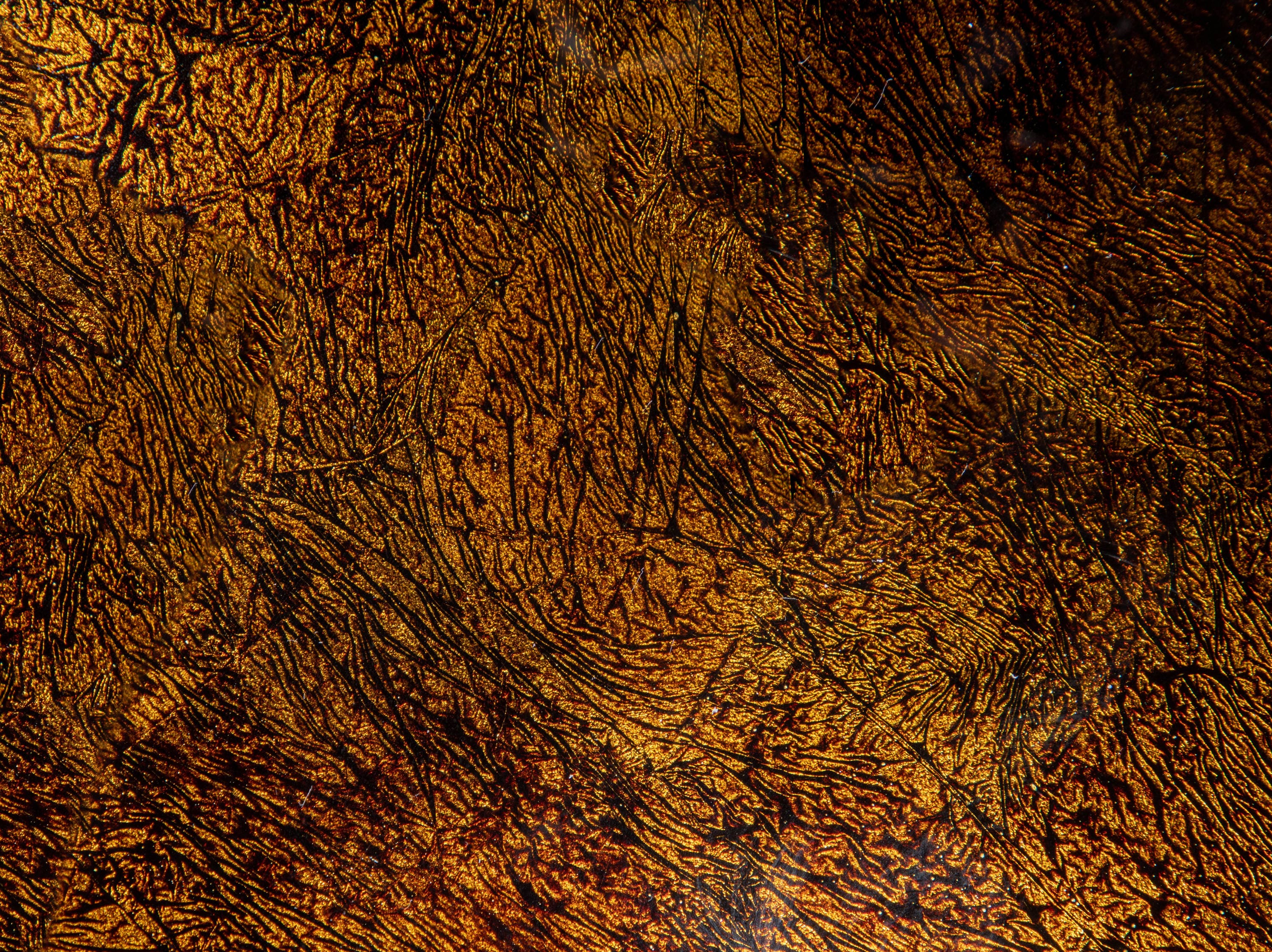 Eden Brown and Gold Tempered Glass Vessel Sink