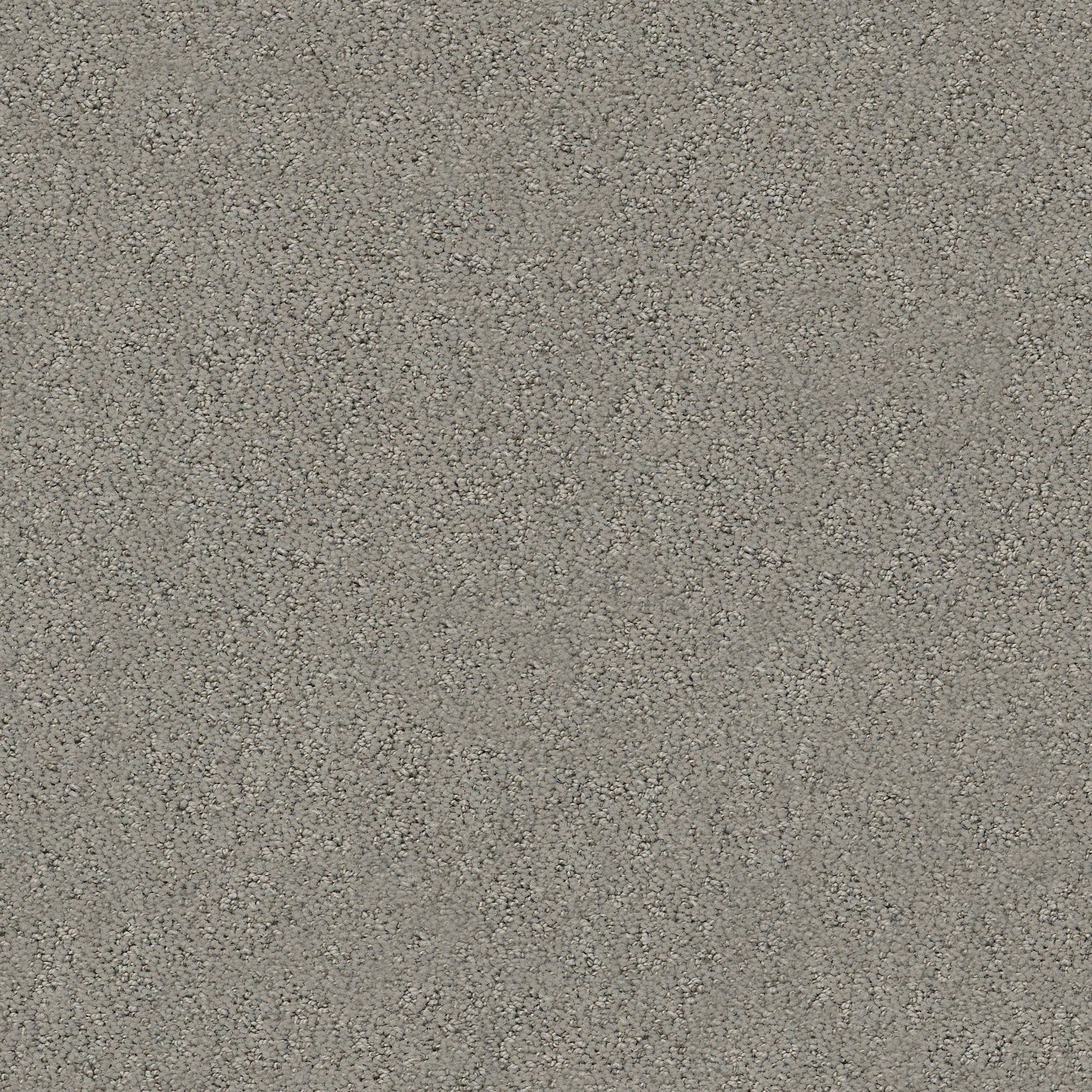 STAINMASTER PetProtect 7L884 - 503 - SAMP (Sample) Happy Tails Dark Slate Gray 29.2-oz sq yard Nylon Pattern Indoor Carpet