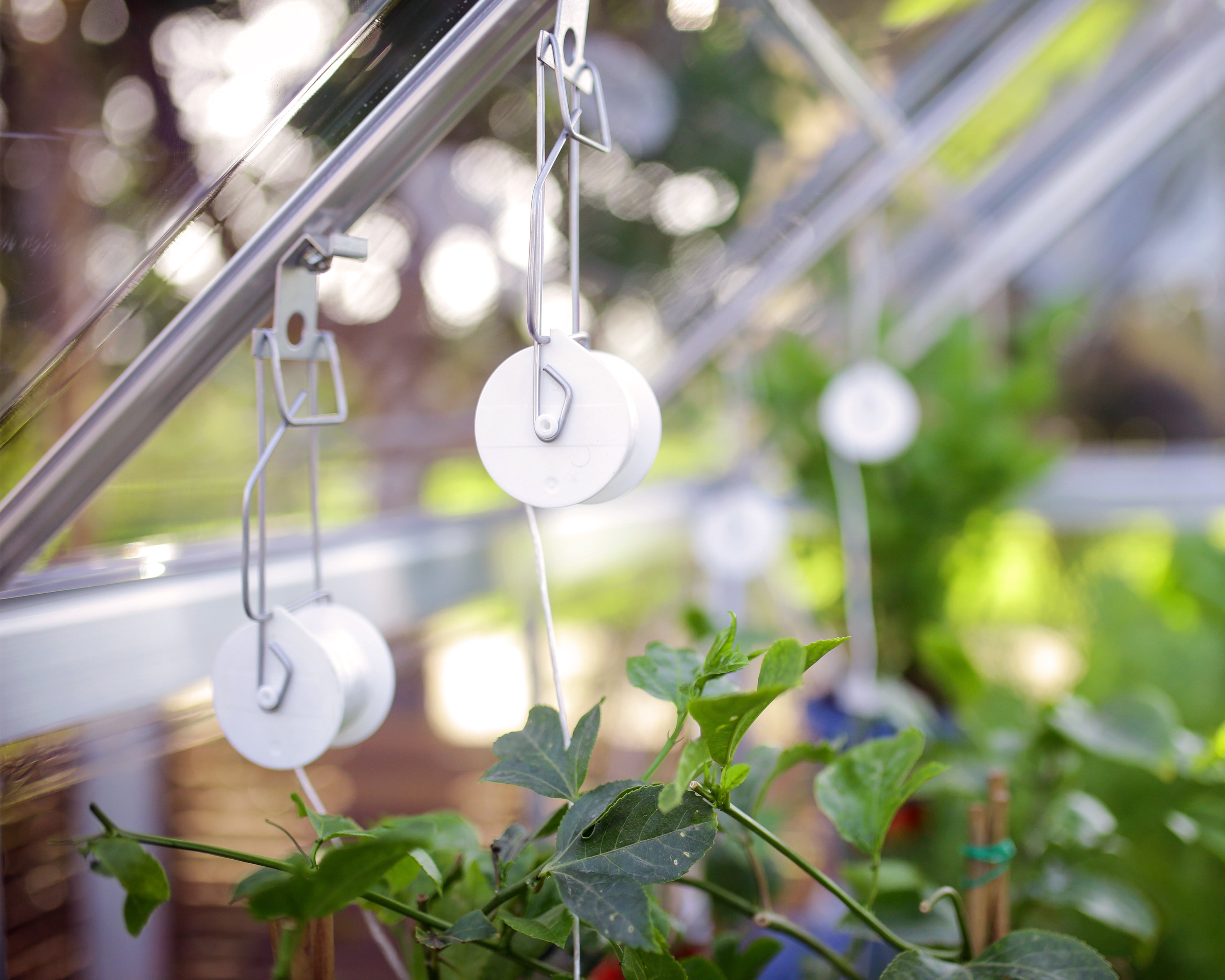 Canopia by Palram 702420 Greenhouse-Vent-Openers - View #10