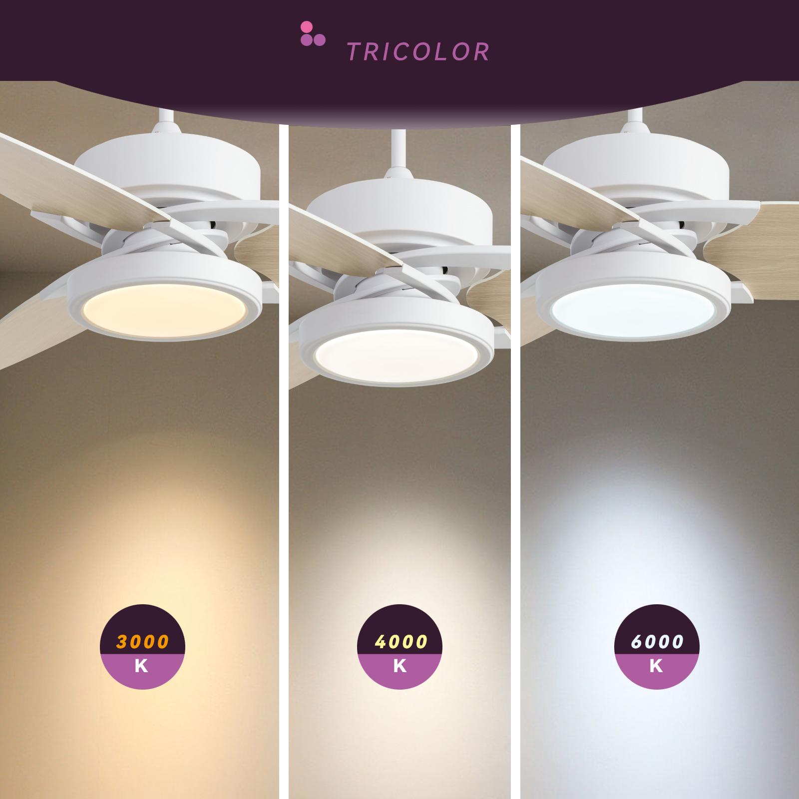 Bayfeve BFXB-5206ADCBXE26 Ceiling-Fans - View #4