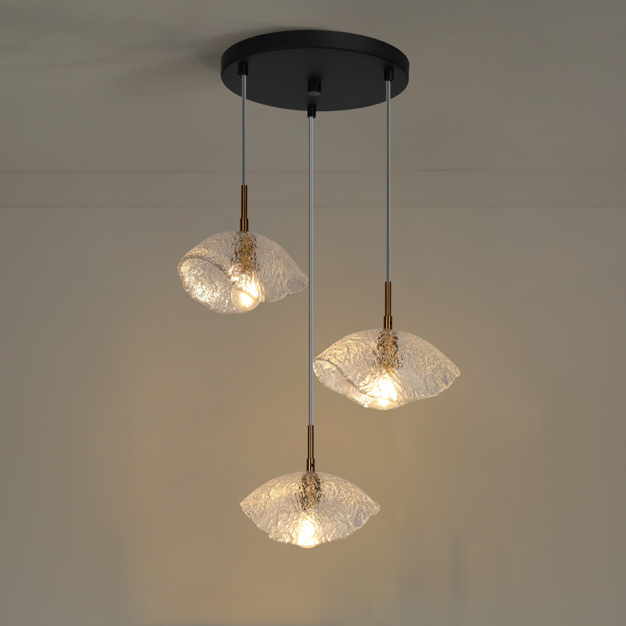 LNC HA04977P3 b090015 - View #8