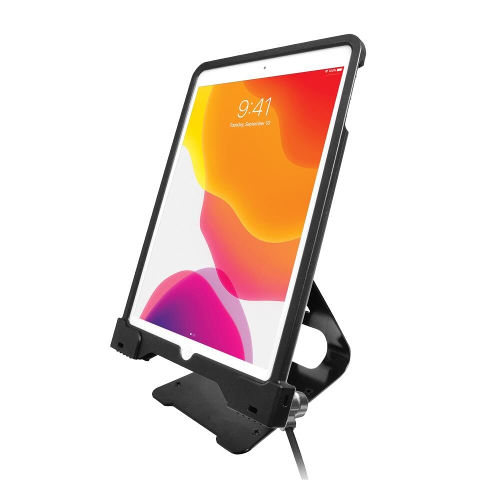 CTA Digital CTAPADASCS10 Anti-Theft Security Case with Stand for iPad