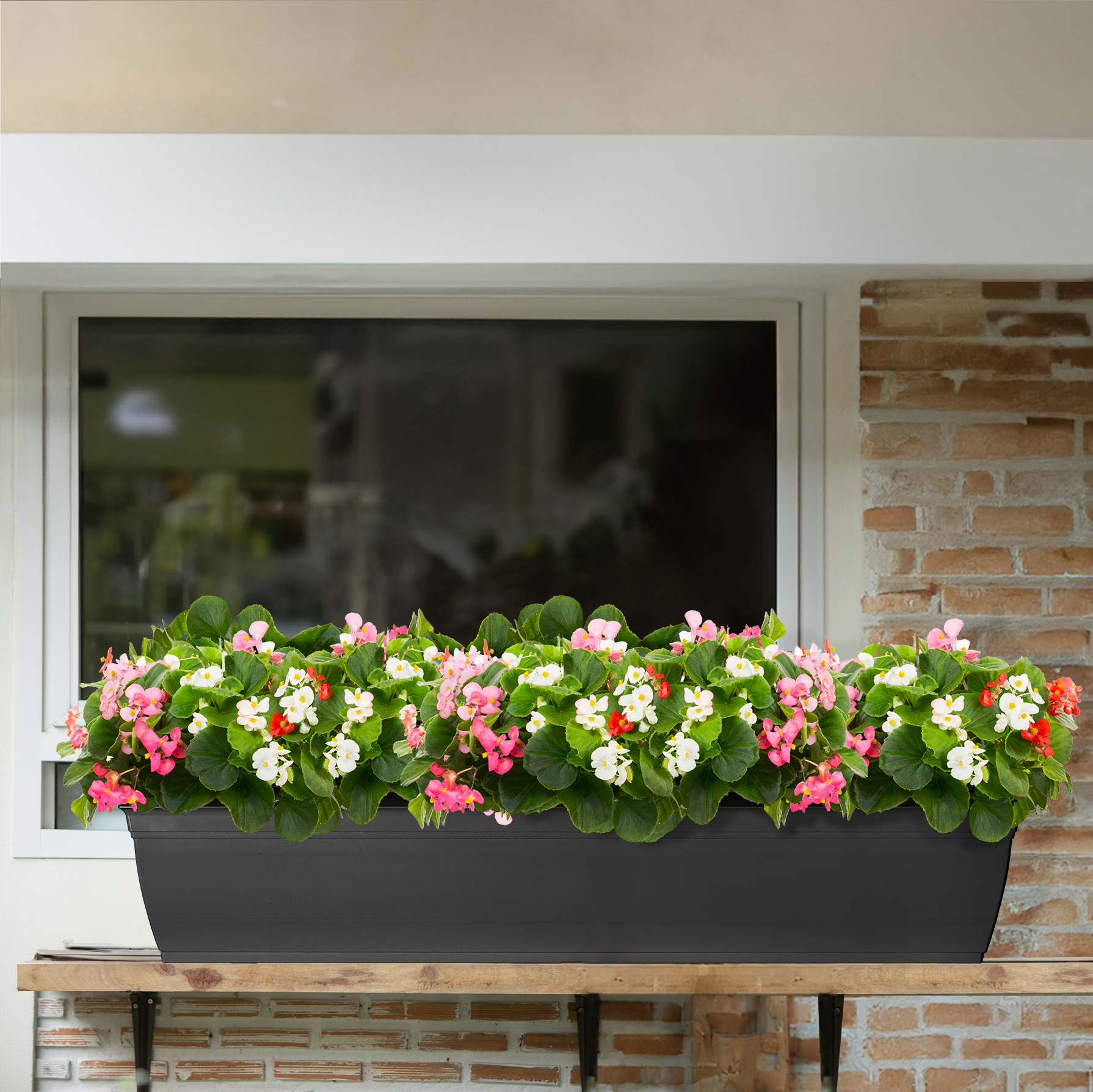 Style Selections WB2132G-BLACK Planter-Window-Box - View #4