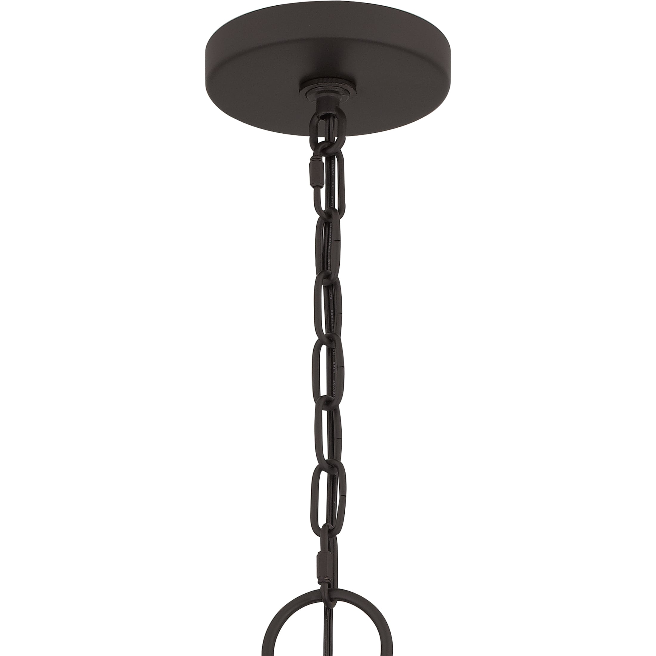 Quoizel DUP2816OZ Pendant-Lights - View #9