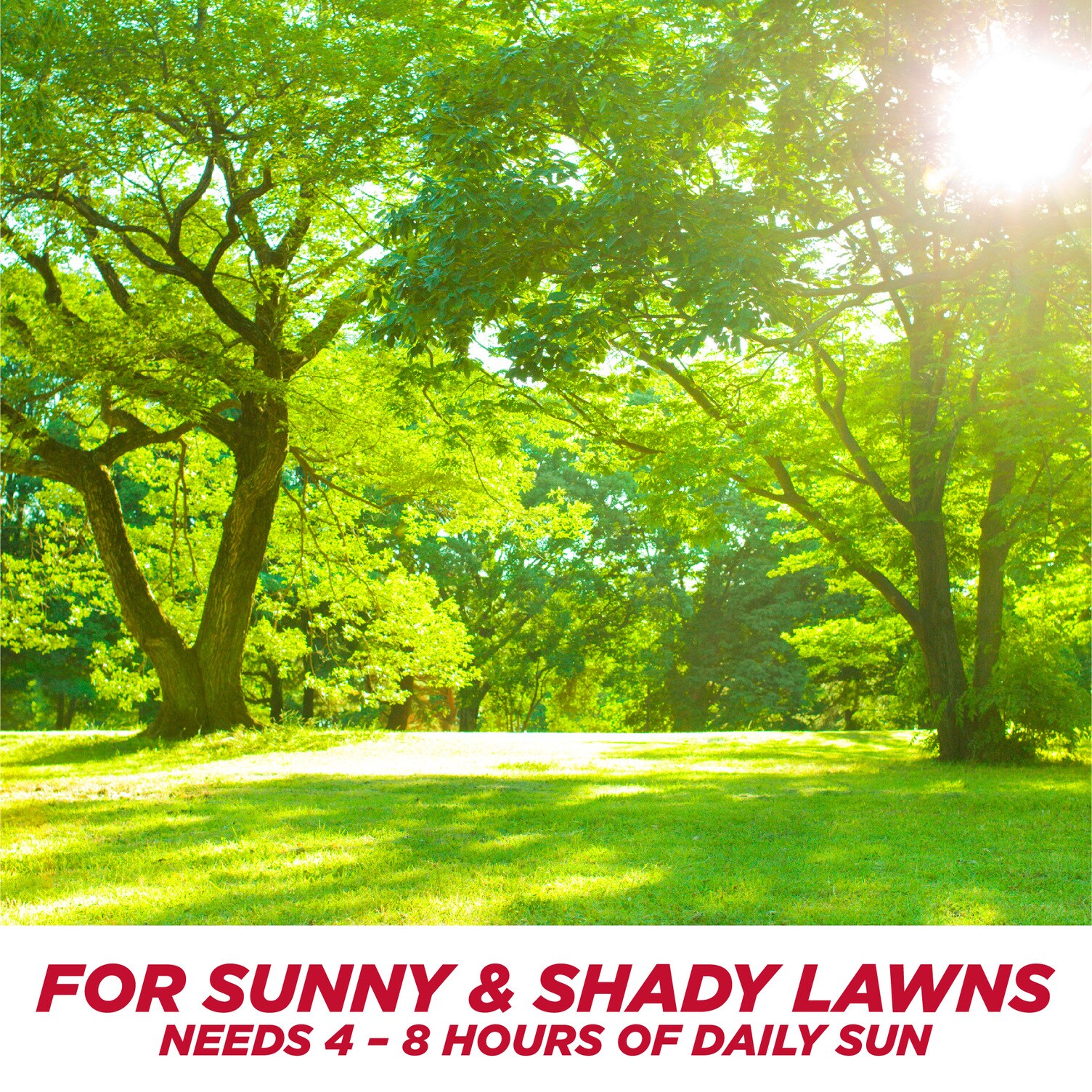 Pennington 2149601482 Lawn-Repair-Mix - View #6