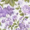 PLUM FLORAL