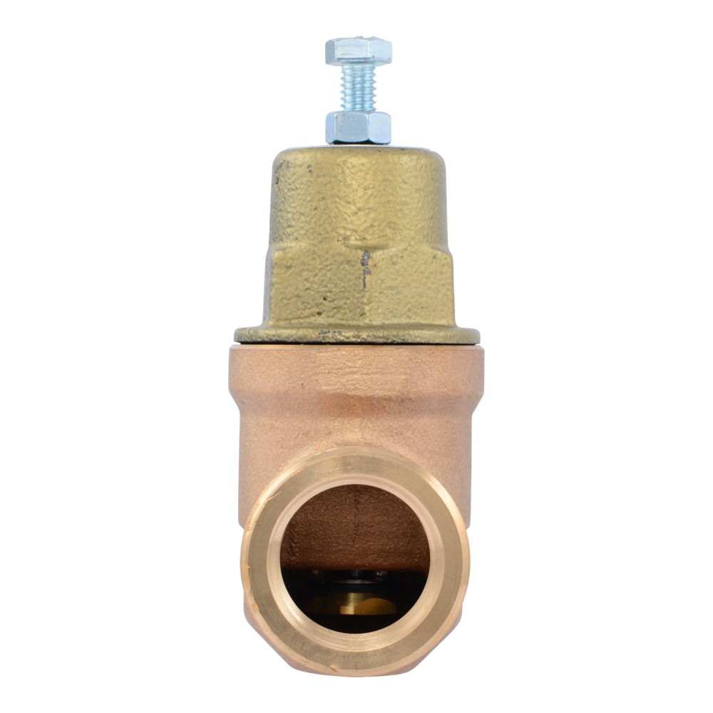 Cash Acme PVA20M-SUSW-60 Pressure-Relief-Valves-Regulators - View #2