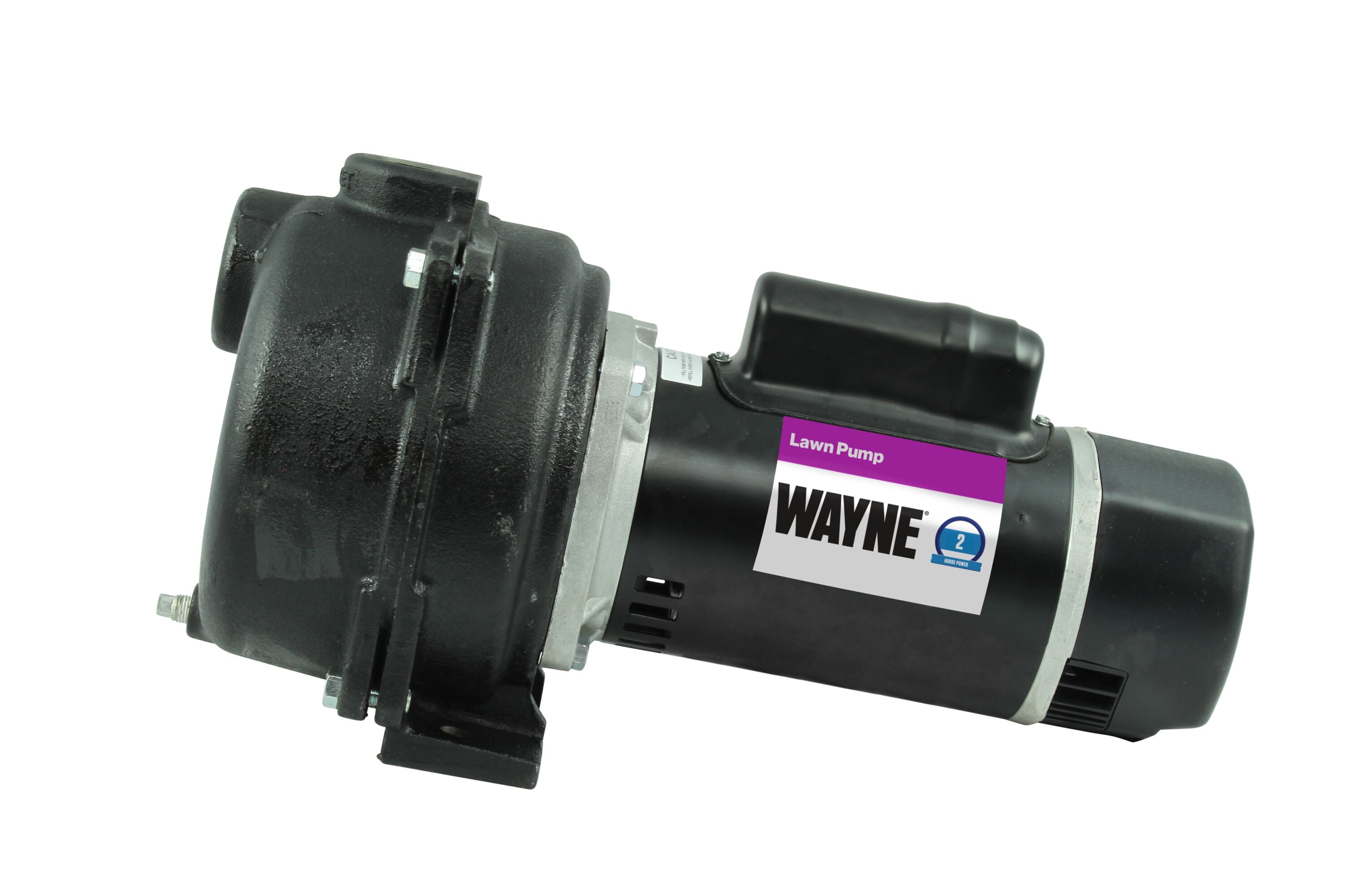 Wayne 58409-WYN1 2-HP 230 -Volt 89-Gallon Cast iron Lawn pump