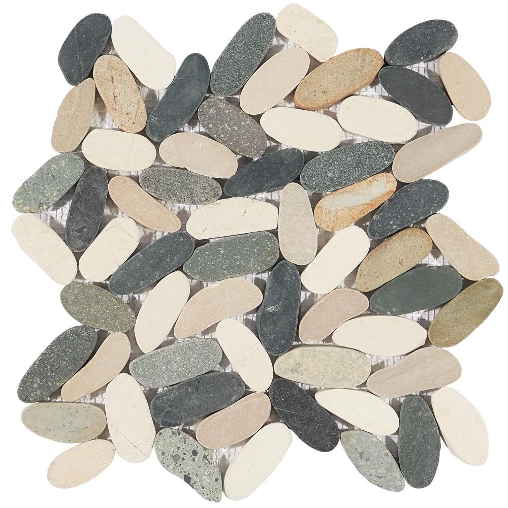 Artmore Tile EXT3RD105008 Sample - Landscape Multicolored 3-in x 6-in Natural Wall Tile