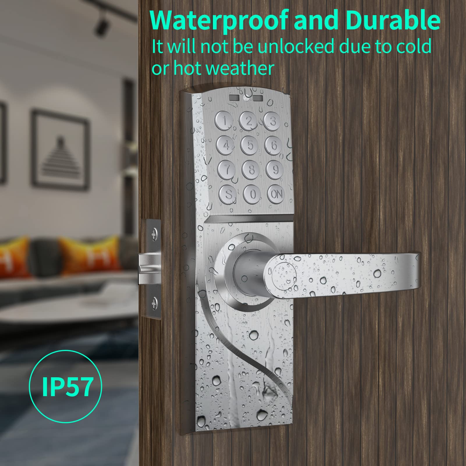 Oyezvary LOZ0716O055 Electronic-Door-Locks - View #5