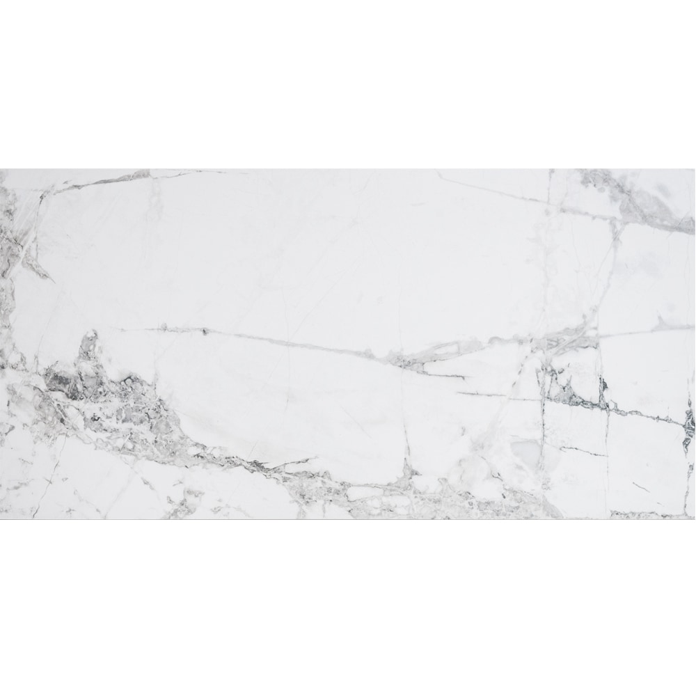 The Tile Life TPREX1224GM Ceramic-Tile - View #8