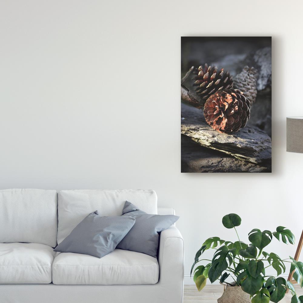 Trademark Fine Art CSL00256-C2232GG Wall-Art - View #3