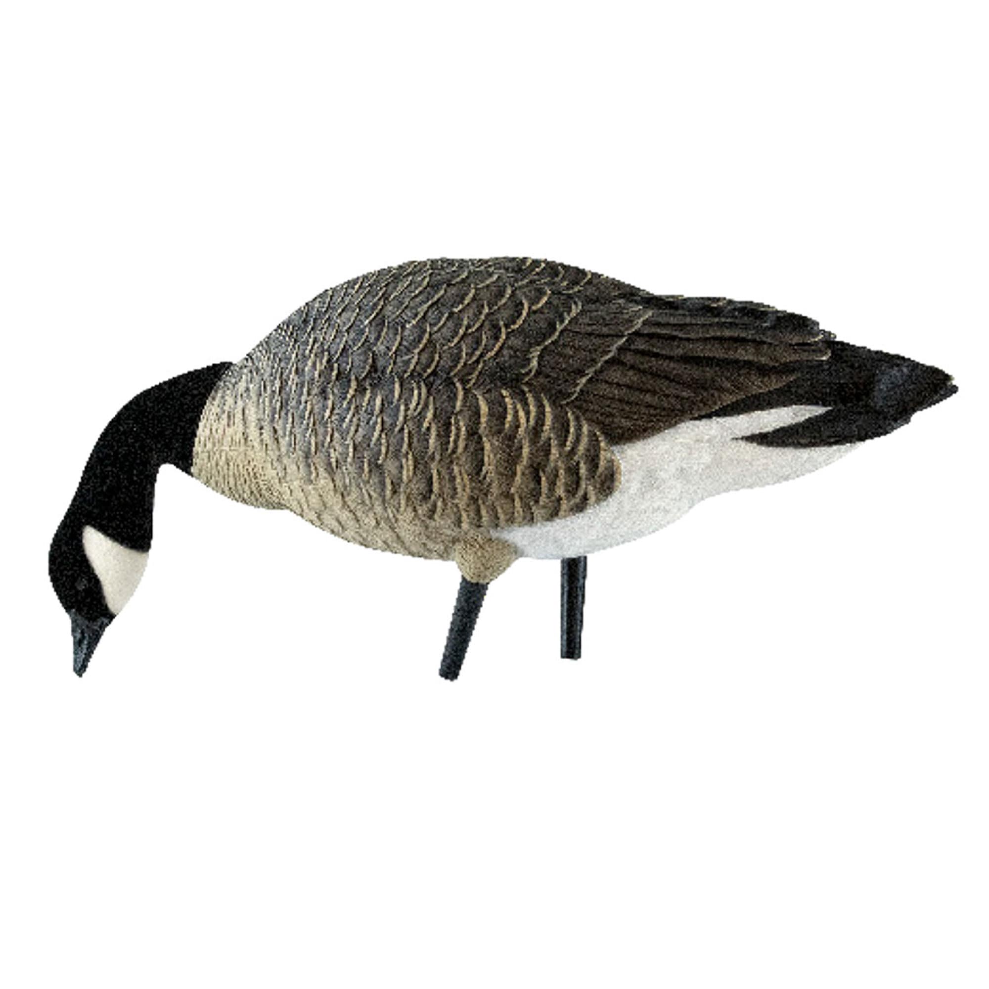  Avian X 408538 Hunting-Equipment - View #11