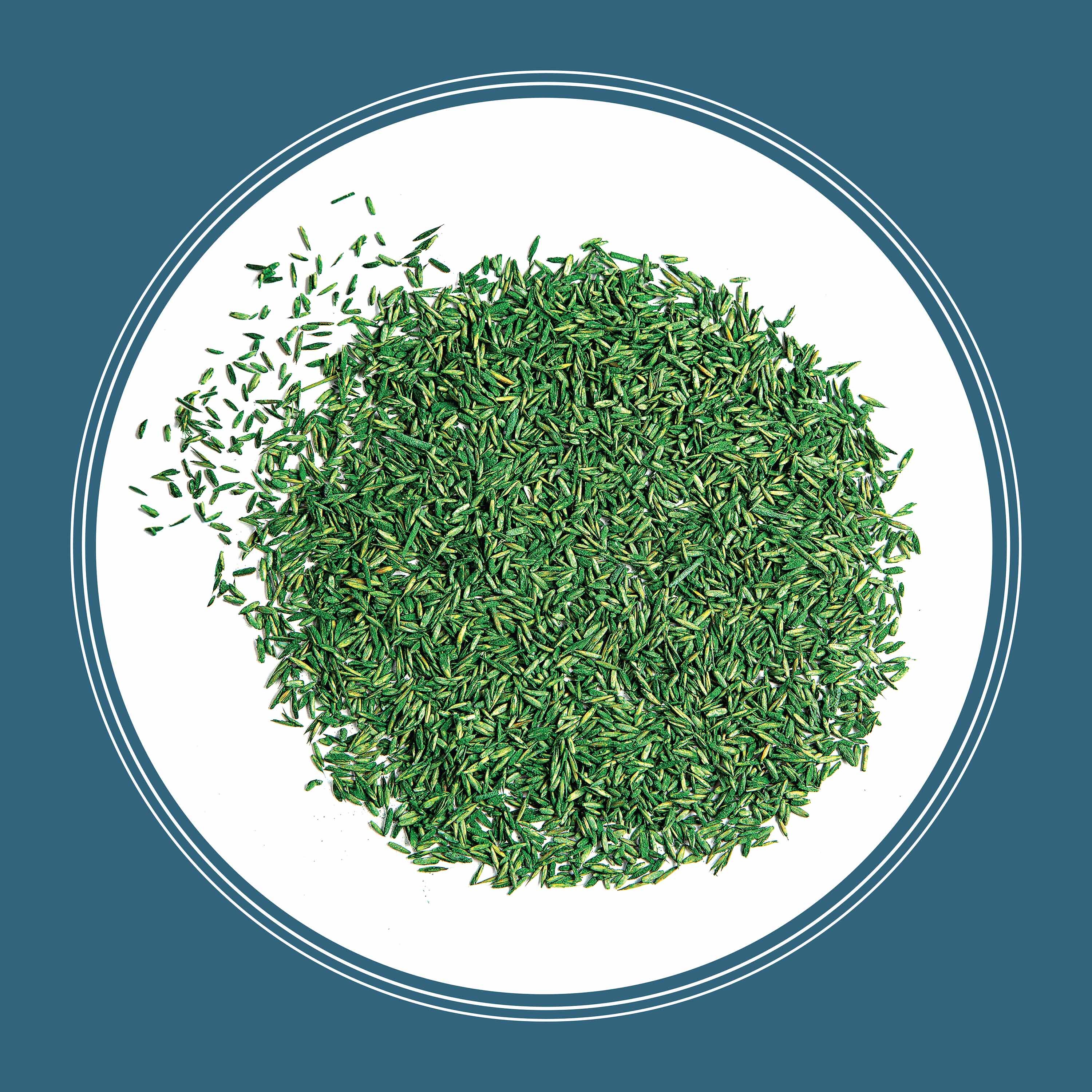 Pennington 100543709 Grass-Seed - View #3
