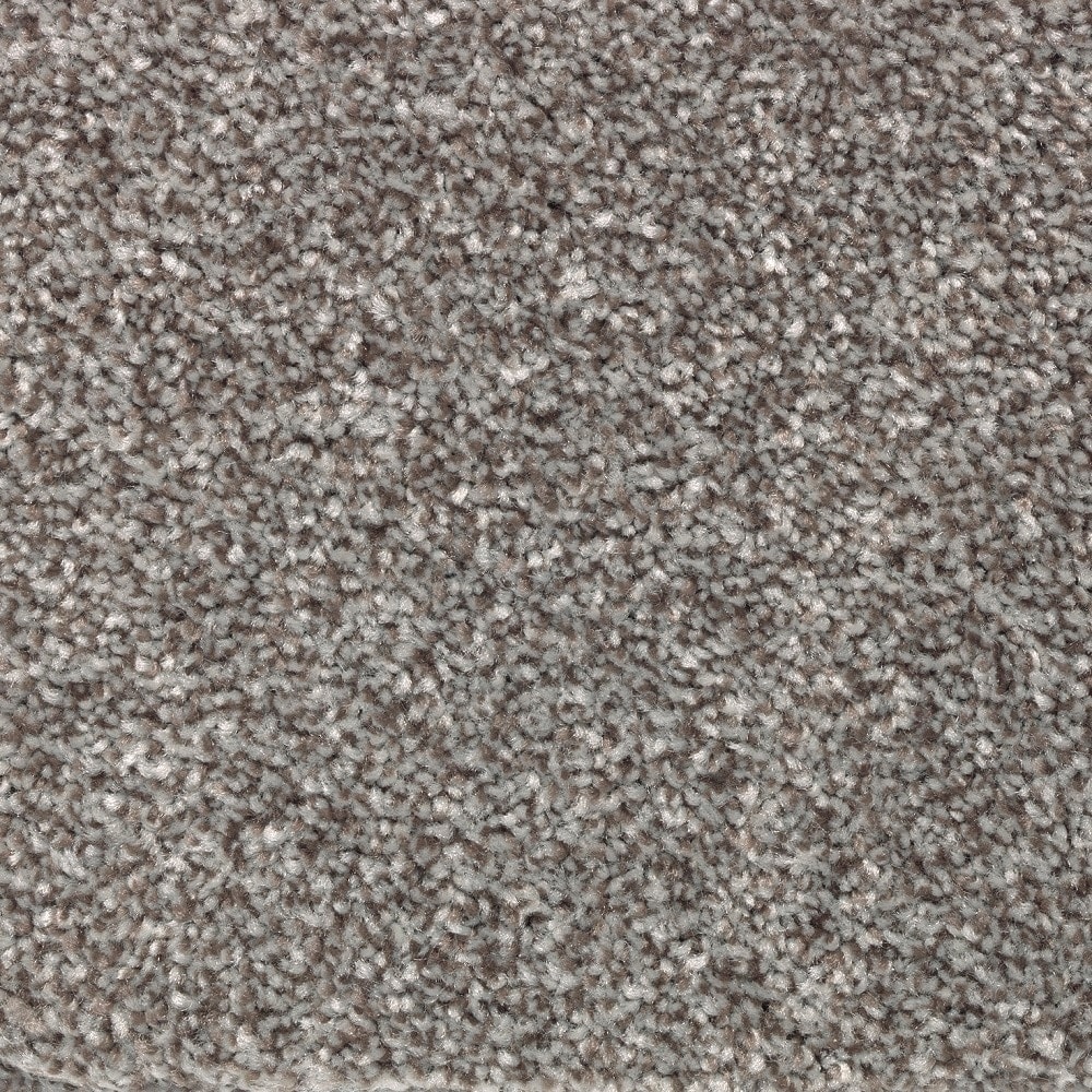 STAINMASTER LW195-12-L003 Durable Step II Caviar dream Gray 49-oz sq yard Triexta Textured Indoor Carpet