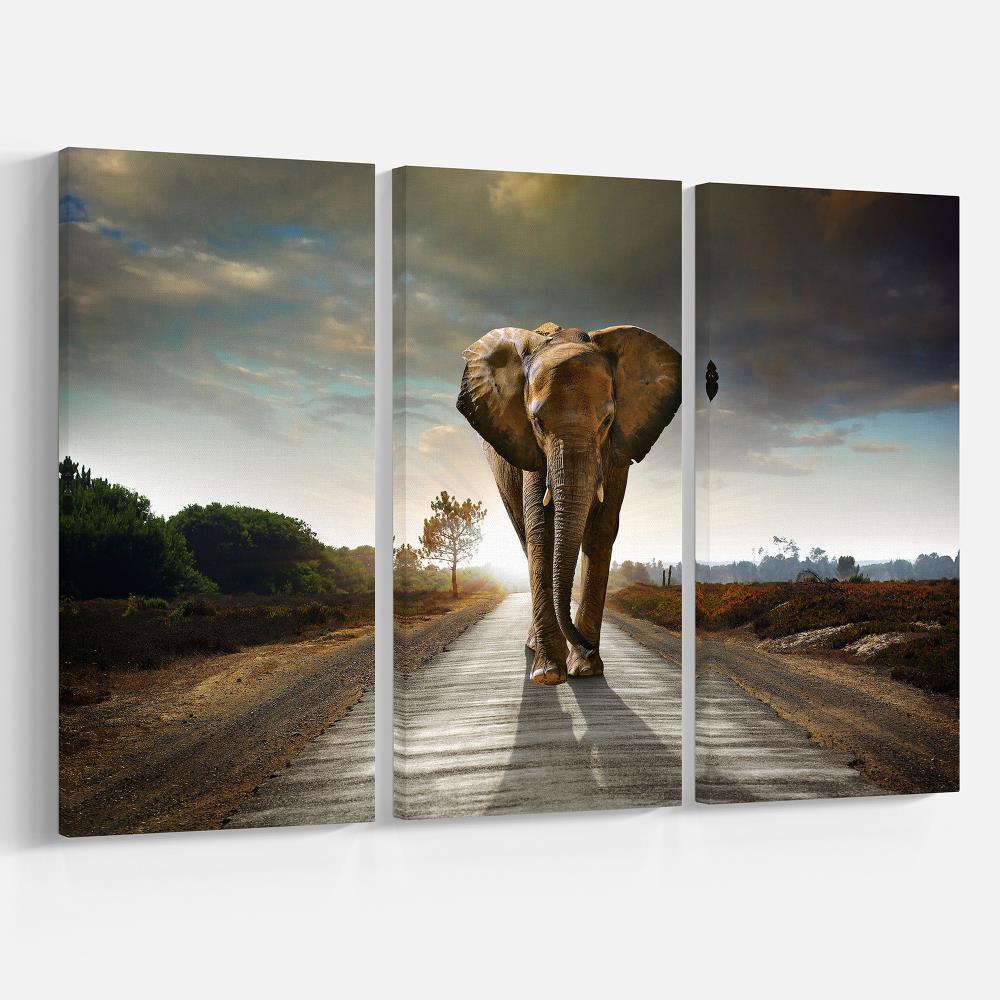 Designart 28-in H x 36-in W Animals Print on Canvas at Lowes.com