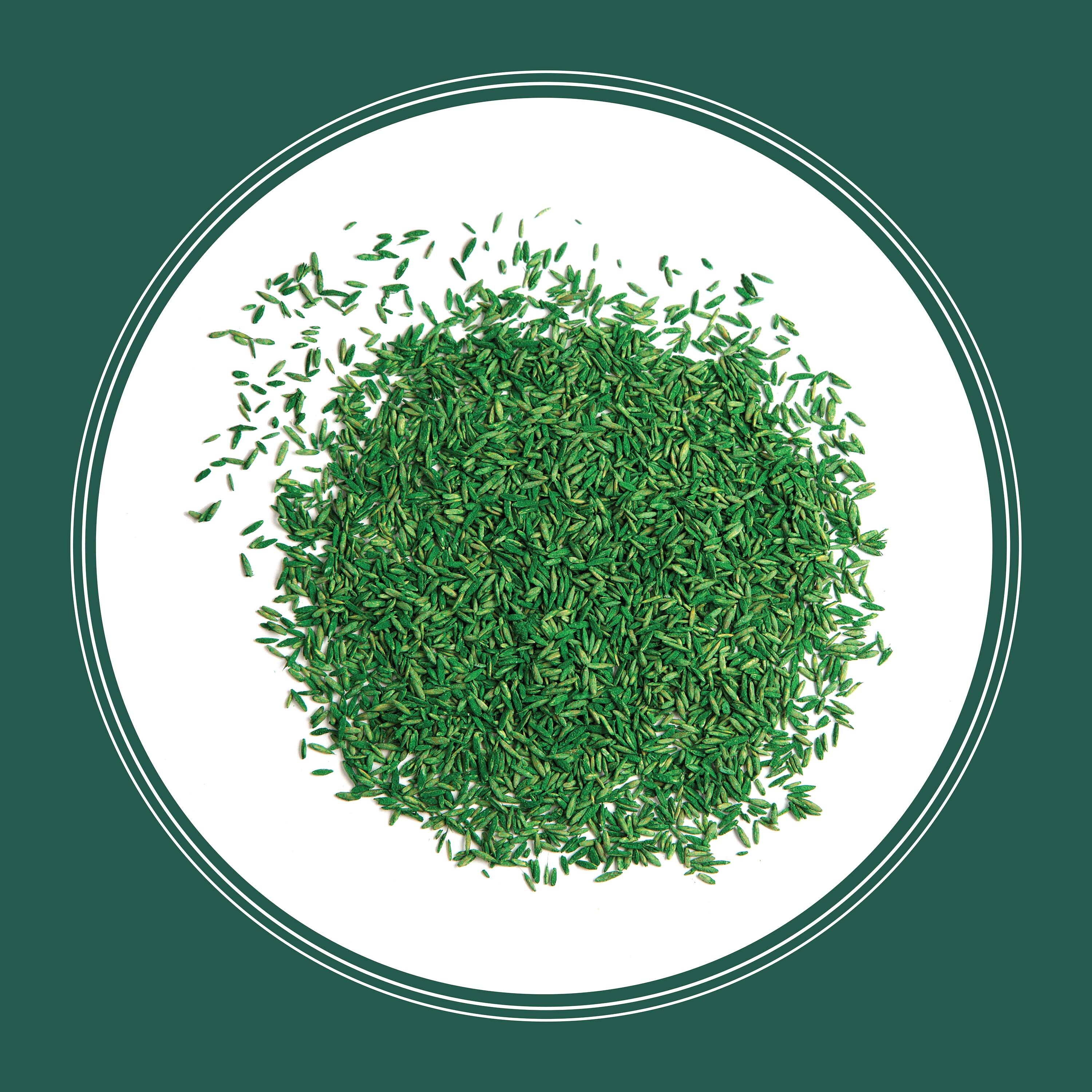 Pennington 2149602279 Grass-Seed - View #4