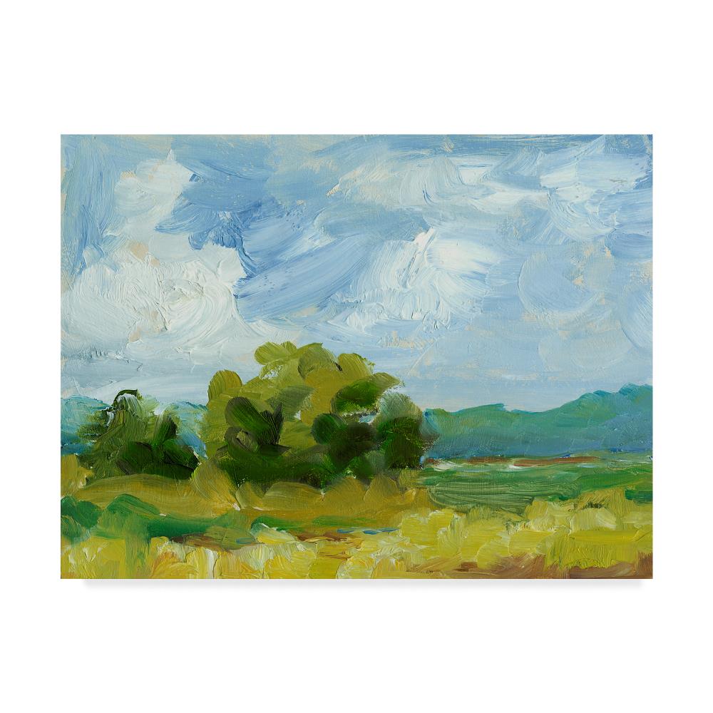 Trademark Fine Art WAG00998-C2432GG Wall-Art - View #2
