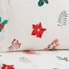 Poinsettia