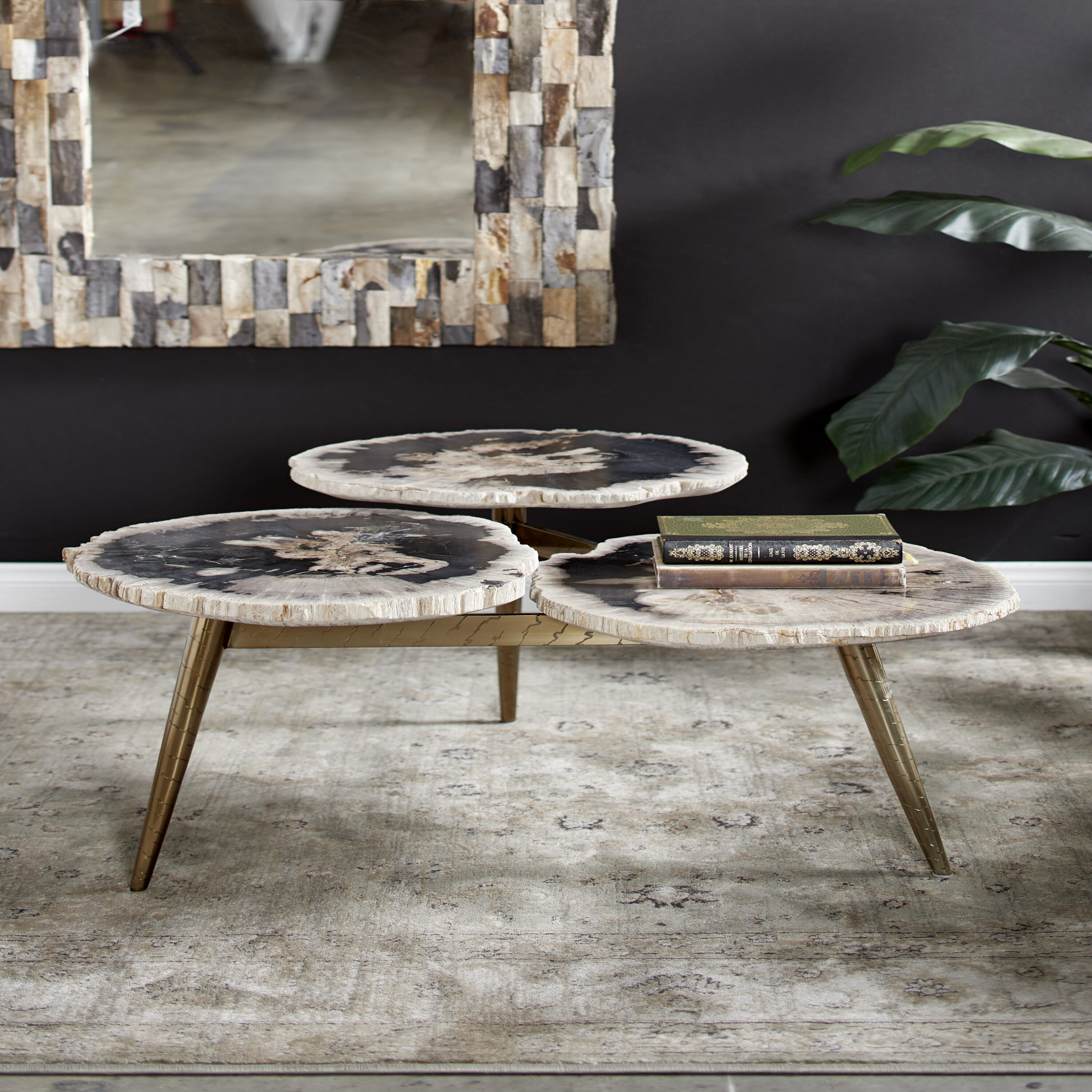 Grayson Lane 91963 Handmade Petrified Wood with Gold Base Pine Wood Rustic Coffee Table
