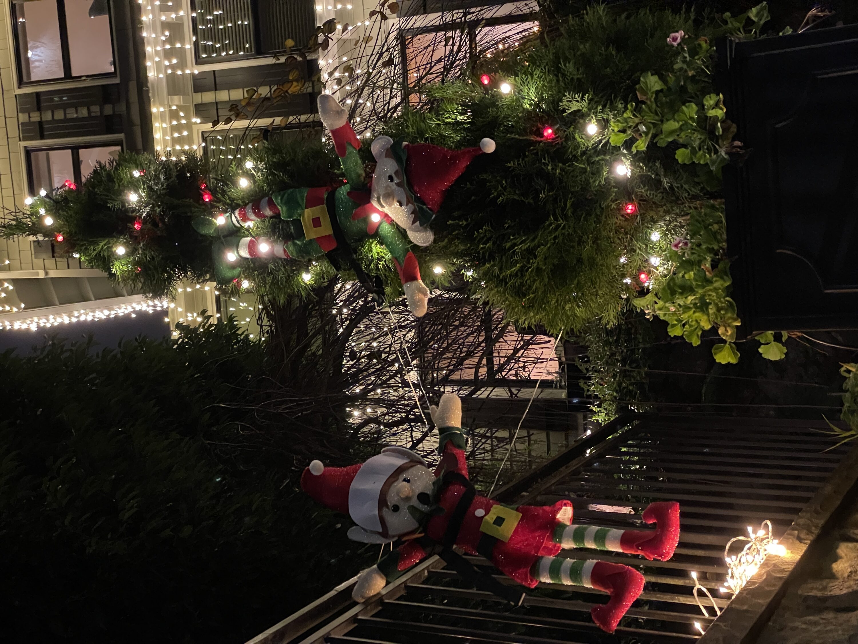 Haute Decor ELB0101 Outdoor-Christmas-Decor - View #4