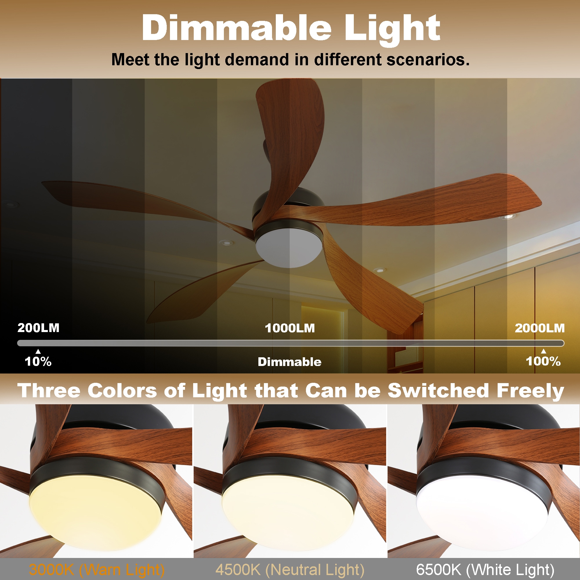 Sunrinx MG13-CF-10 Ceiling-Fans - View #4