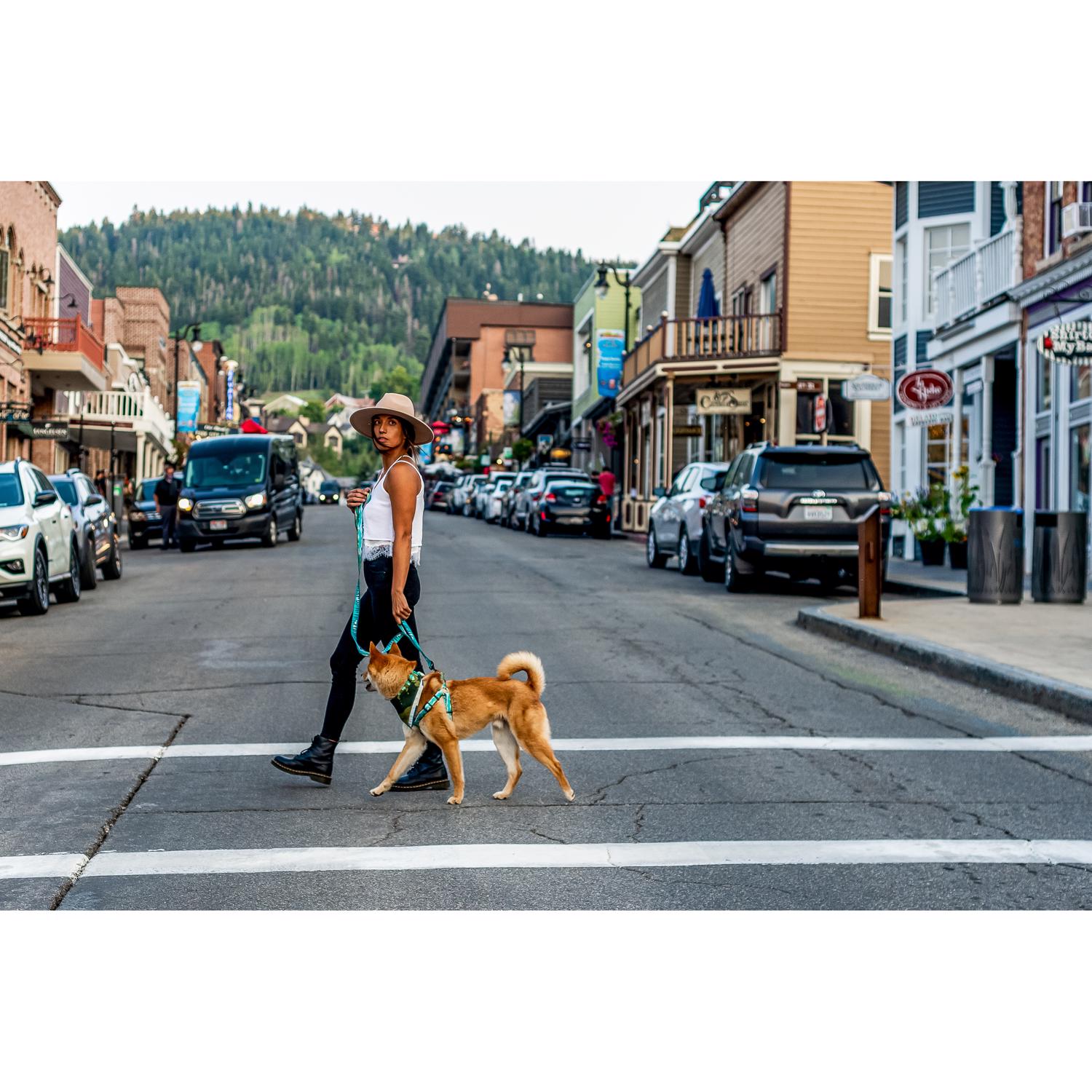 Wolfgang Puck EJD8101648 Leashes-Leads - View #2