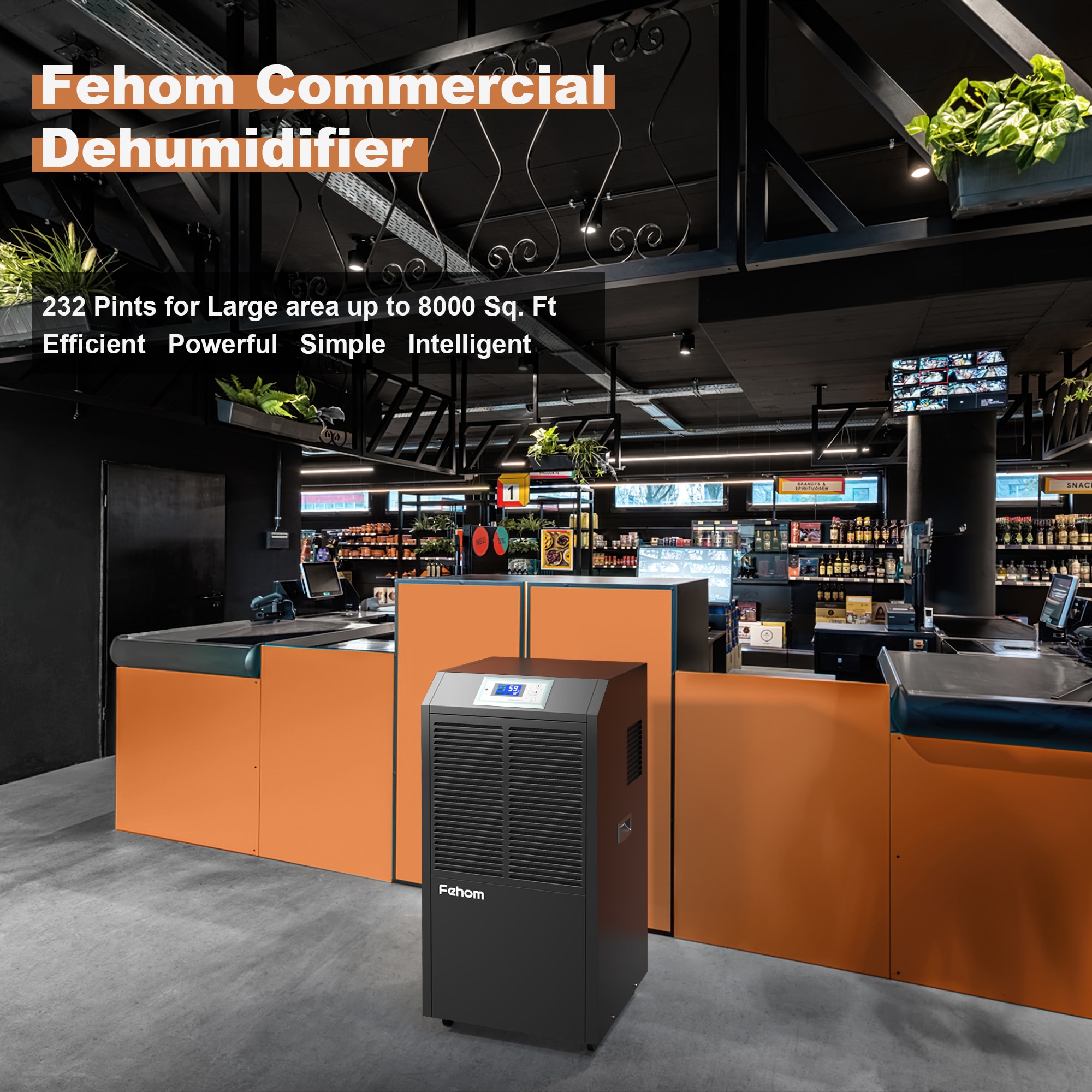 Fehom 890EB-PD t000099 - View #5