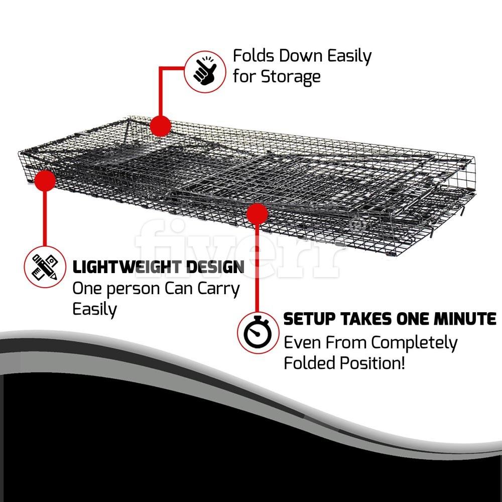 Choosing The Best Humane Animal Traps: Here Are 6 Factors to Consider