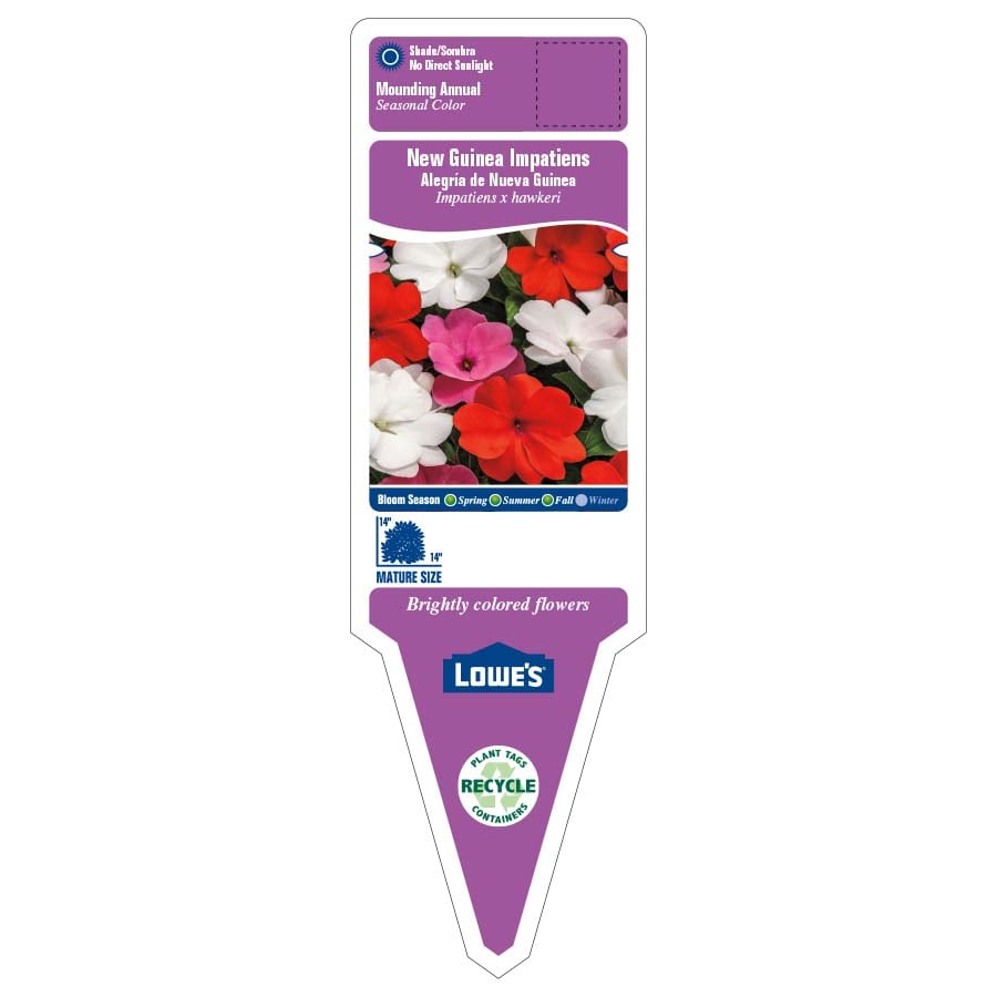 Lowe's 664532 annuals - View #2