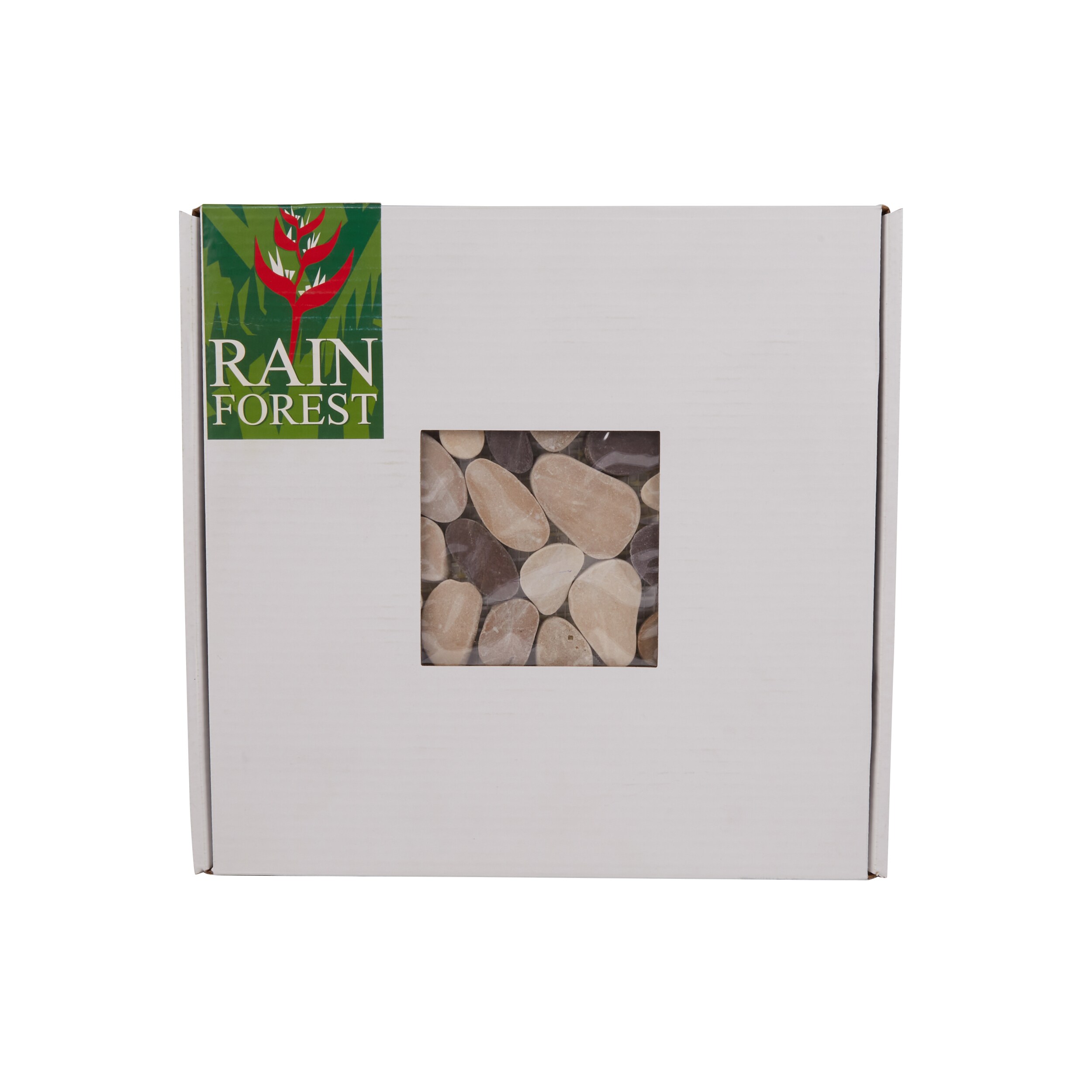 Rain Forest PTS-HNBNC Ceramic-Tile - View #3