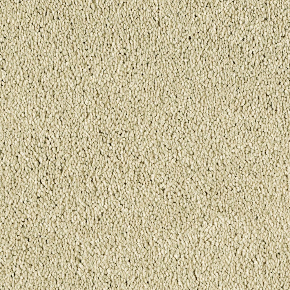 STAINMASTER S505900LINEN LU- LUX (Sample) Essentials Soft and Cozy I Linen Lux Textured Carpet