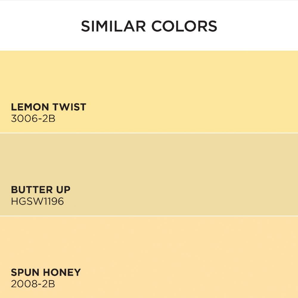 HGTV HOME by Sherwin-Williams 3003-2B-2557207 Int-Ext-Paint - View #6