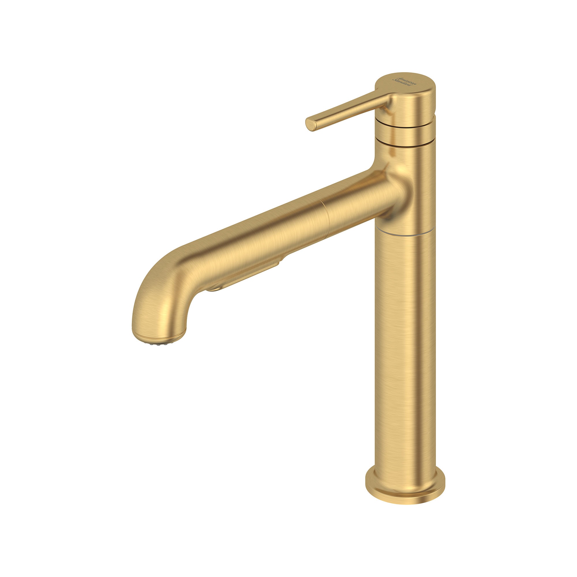 Matte Gold Pull-Out Spray Kitchen Faucet