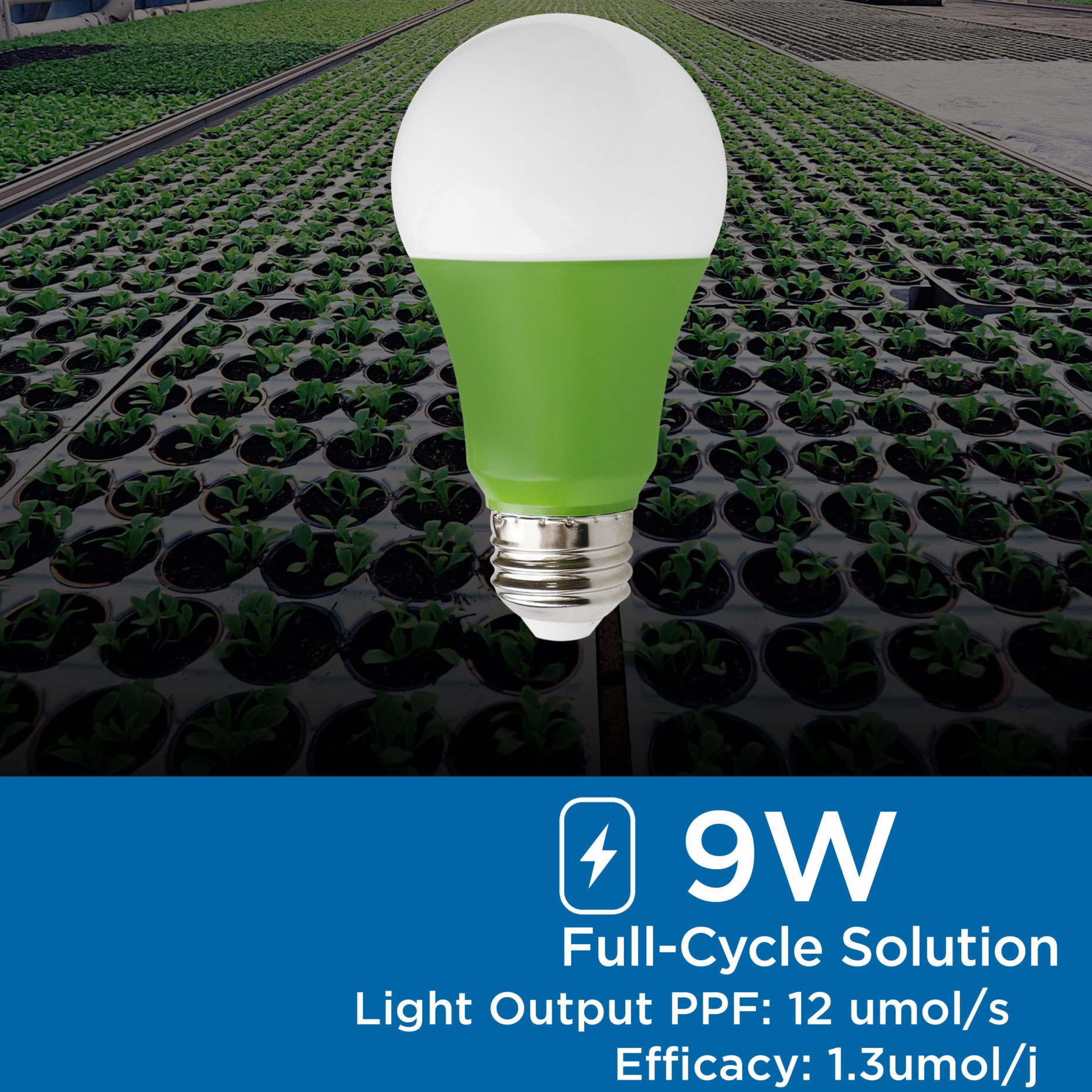 VIRIBRIGHT 290101-4 Led-Lights - View #2