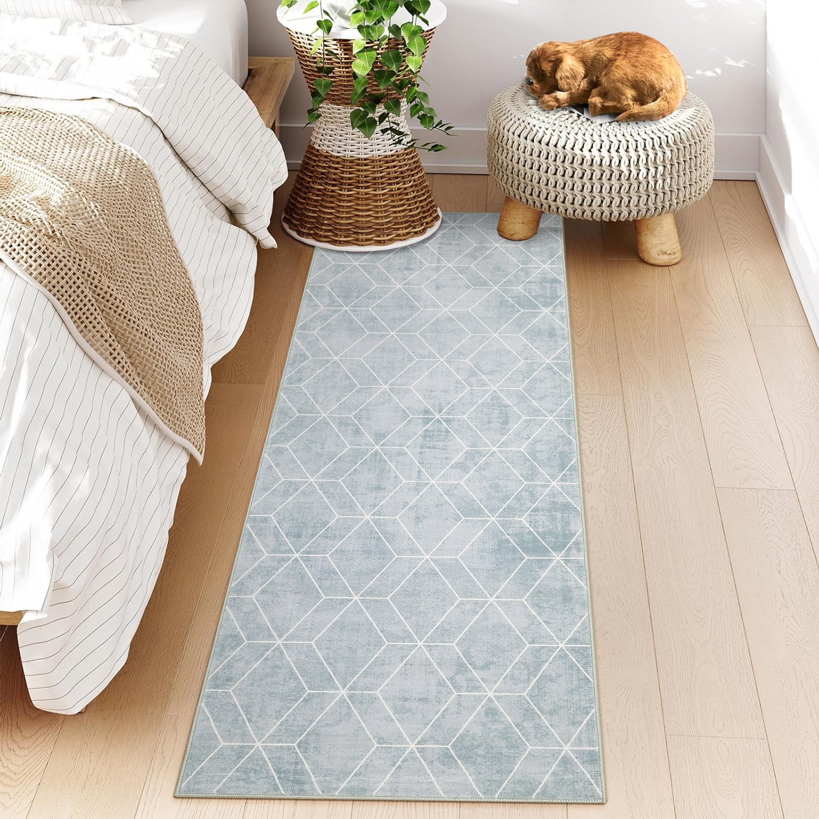 Assile XH260820493 rugs - View #2