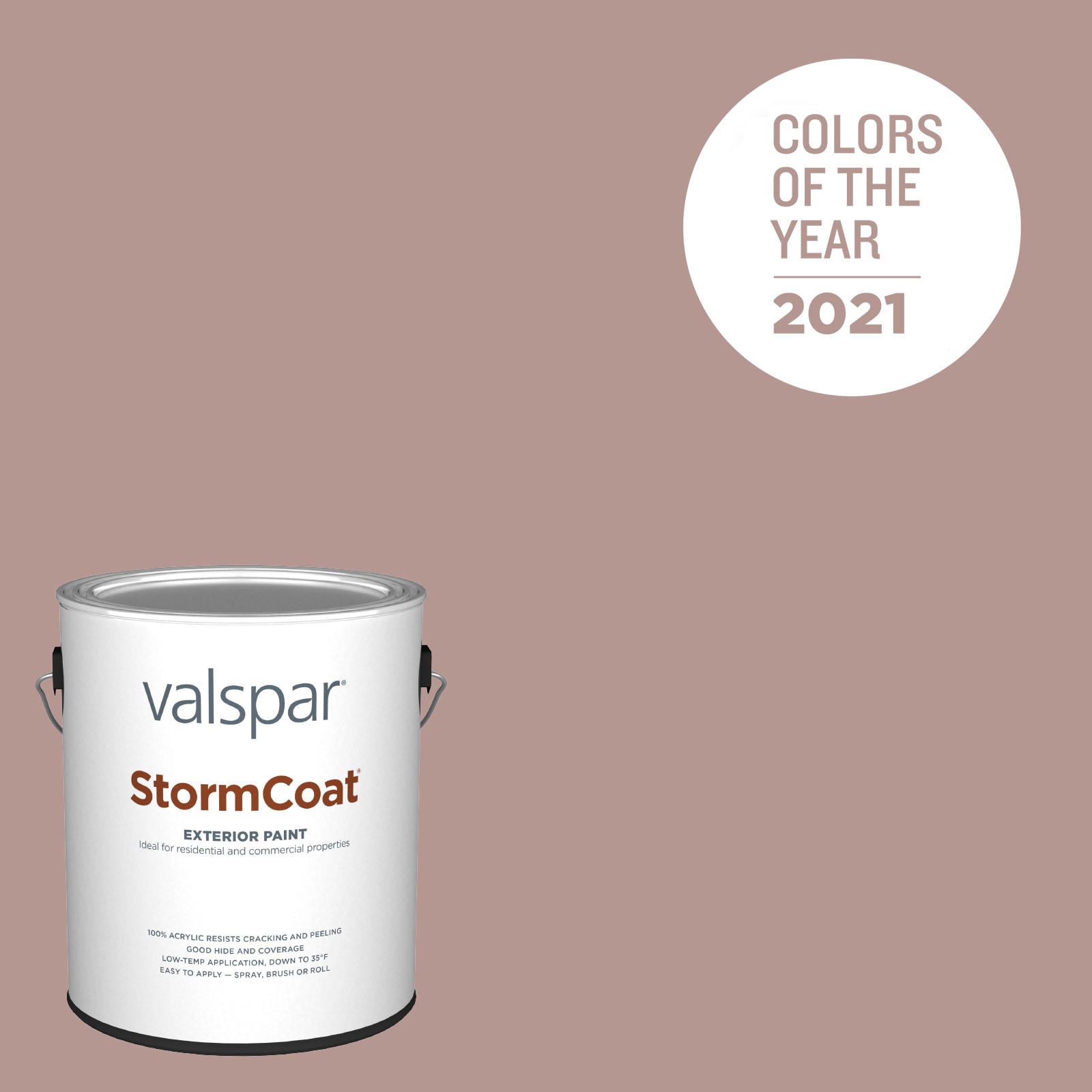 Valspar 1005-10A-146990 Storm Coat Satin Cherry Taupe 1005-10A Latex Exterior ( 1-gallon )