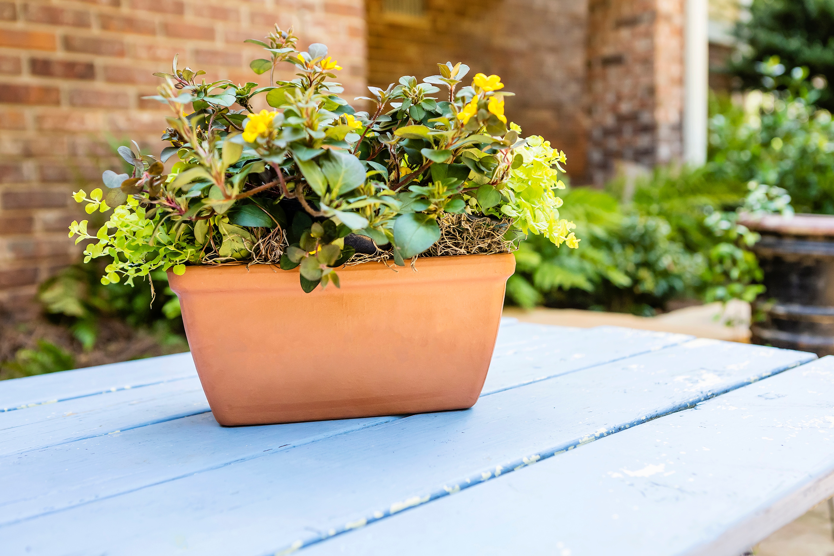Pennington 100021299 Planter-Window-Box - View #6