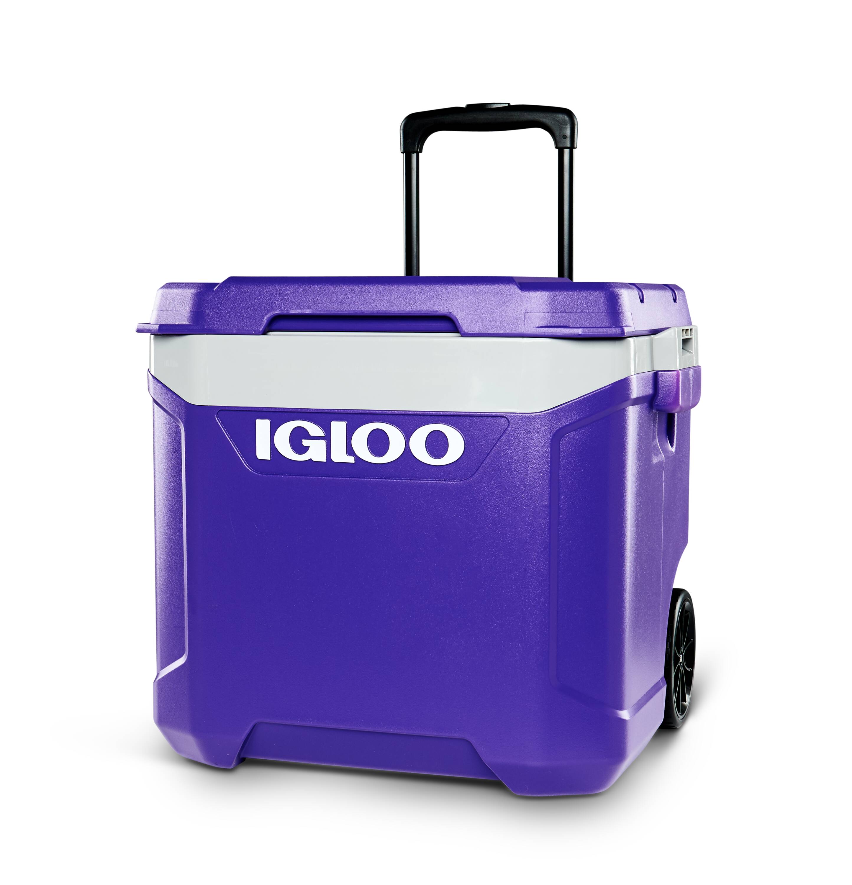 Igloo Purple.Wht.Meteorite.Blk 60-Quart Wheeled Insulated Personal ...