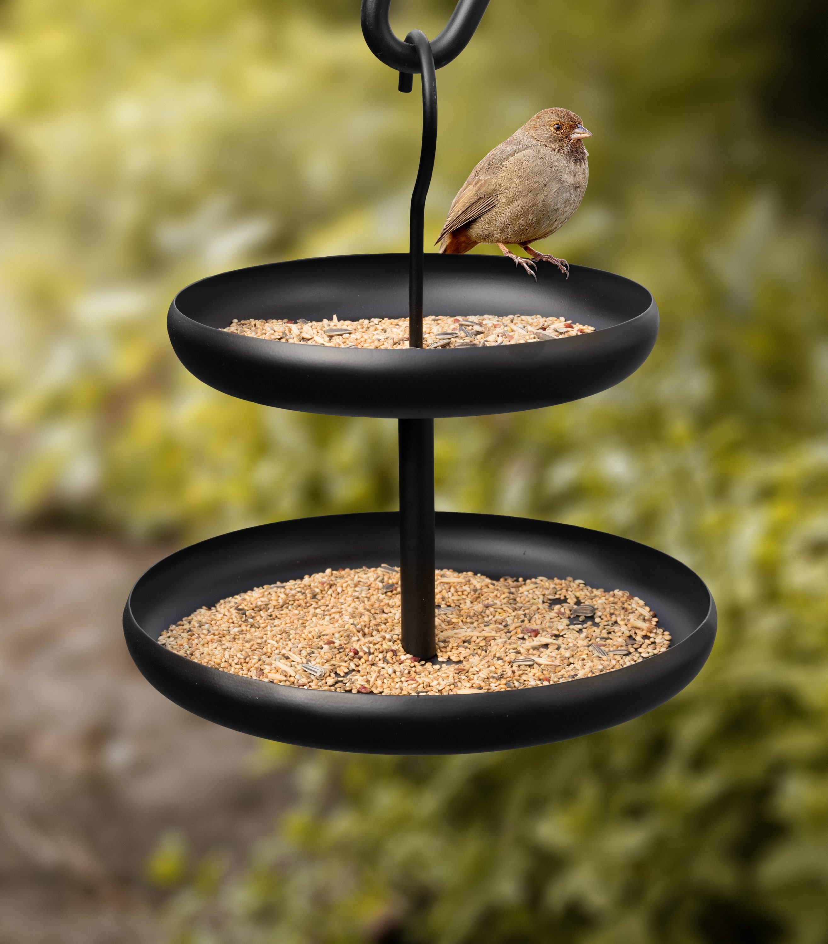 Monarch Abode 18188 Bird-Feeders - View #6