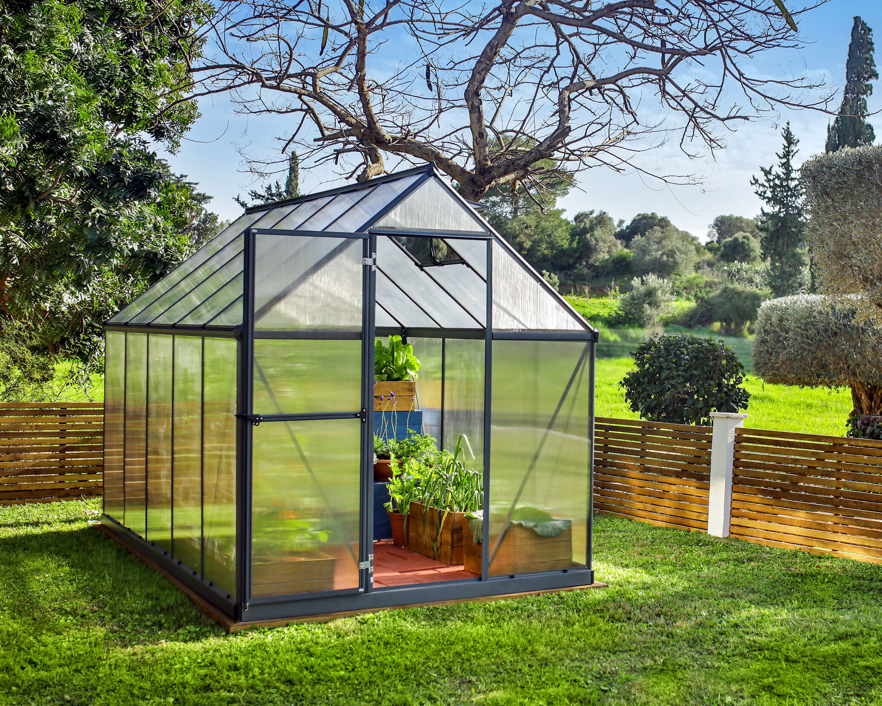Canopia by Palram 706057 greenhouses - View #3